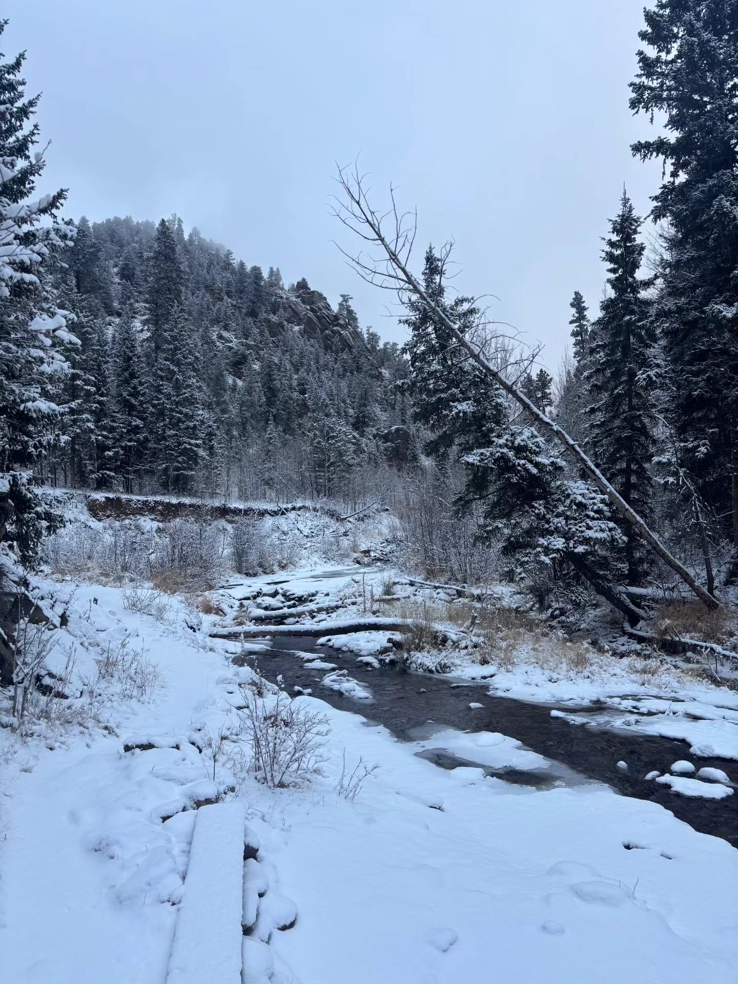 We were able to successfully navigate through the wintery trail at Dunraven Trailhead! The quite noise of nature resembled a reset toward transformation.
Distance: 16.7km
Time: 5 hours
#hiking #climbershaul #winter #outdoors #nature