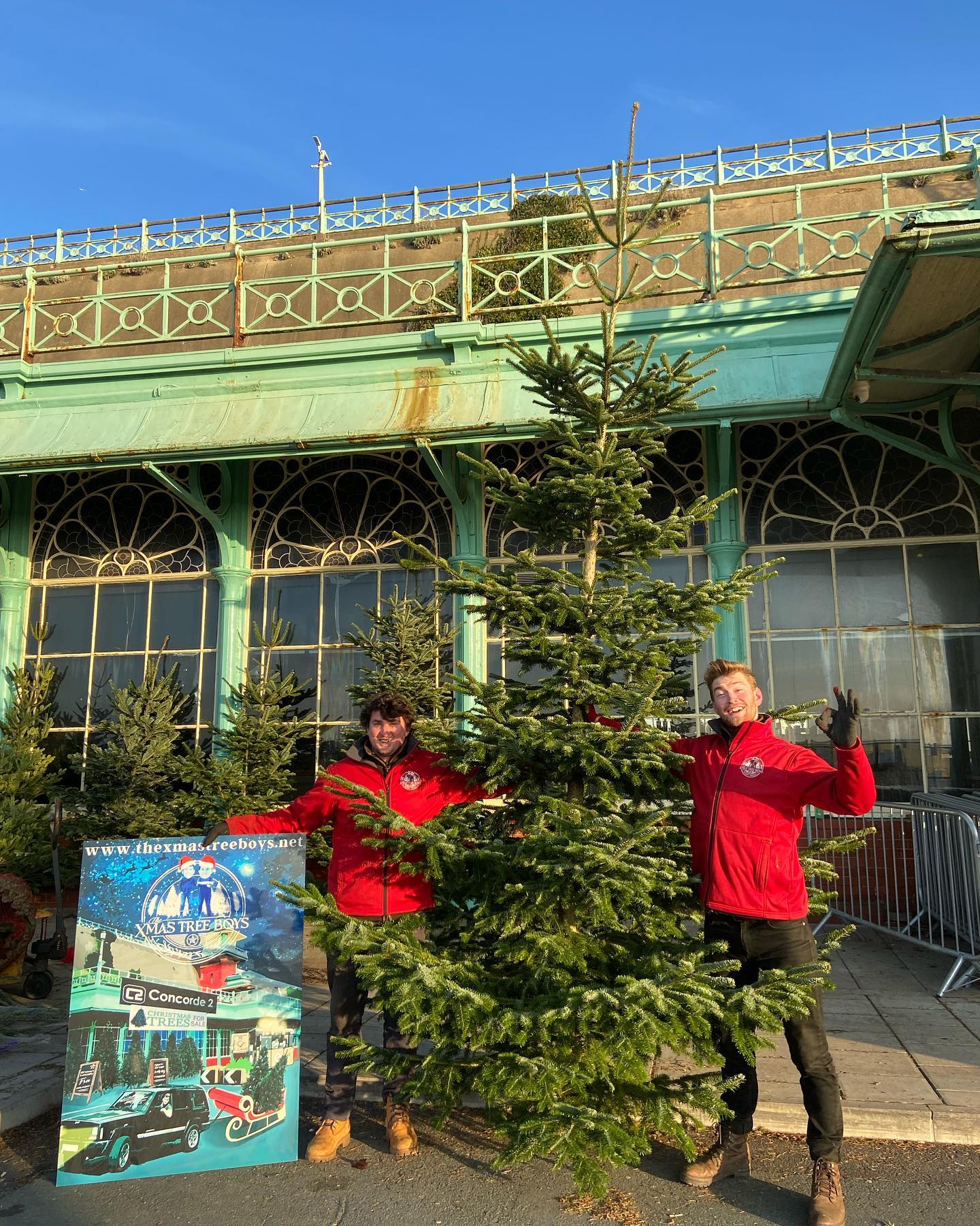 TALLEST TREES in Brighton & Hove! Calling all Brightonians the Xmas Tree Boys have picked up their LAST 50 Sussex grown trees from the Five Oaks farm. This is their last week and they are almost sold out! Be sure to pop down to choose your finest fir before they all go! Order here at www.thexmastreeboys.net 🙂🌲