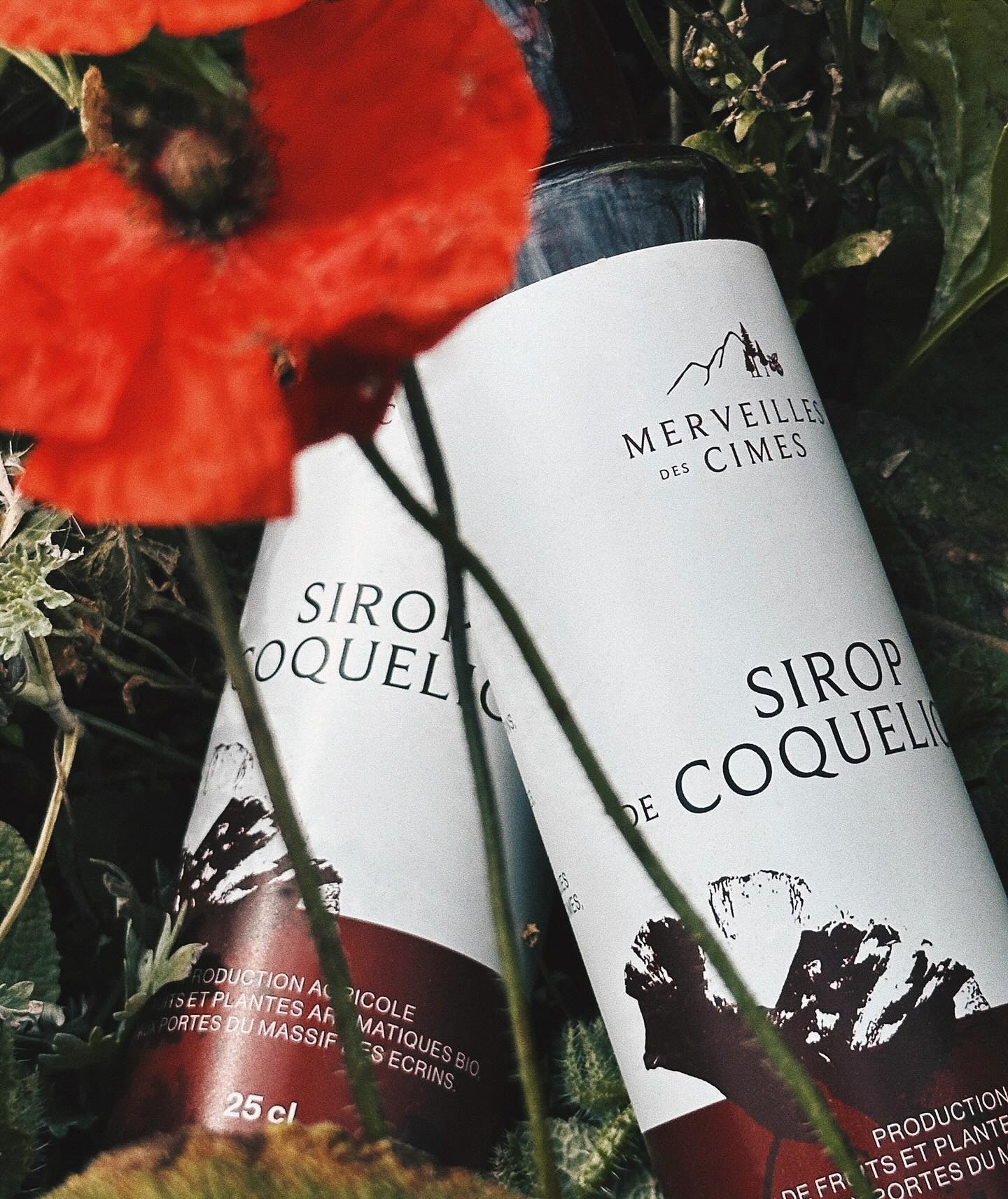 Coup d’œil sur le sirop de coquelicot❣️
.
.
.
#massifdesécrins #rohnealpes #productionagricole #argiculturebiologique #sirop #siropdecoquelicot #coquelicot