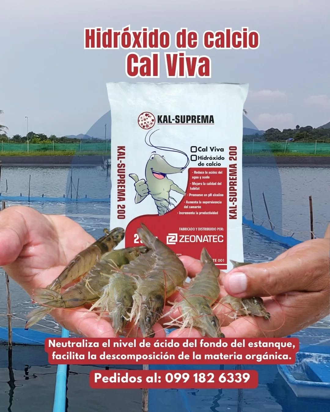 El hidróxido de calcio para aumentar el pH del agua y mantenerlo en un nivel adecuado para los camarones...🦐🦐
Sacos de 25Kg malla 200
#camaroneras #camaronecuador #ecuador #camarones #shrimp