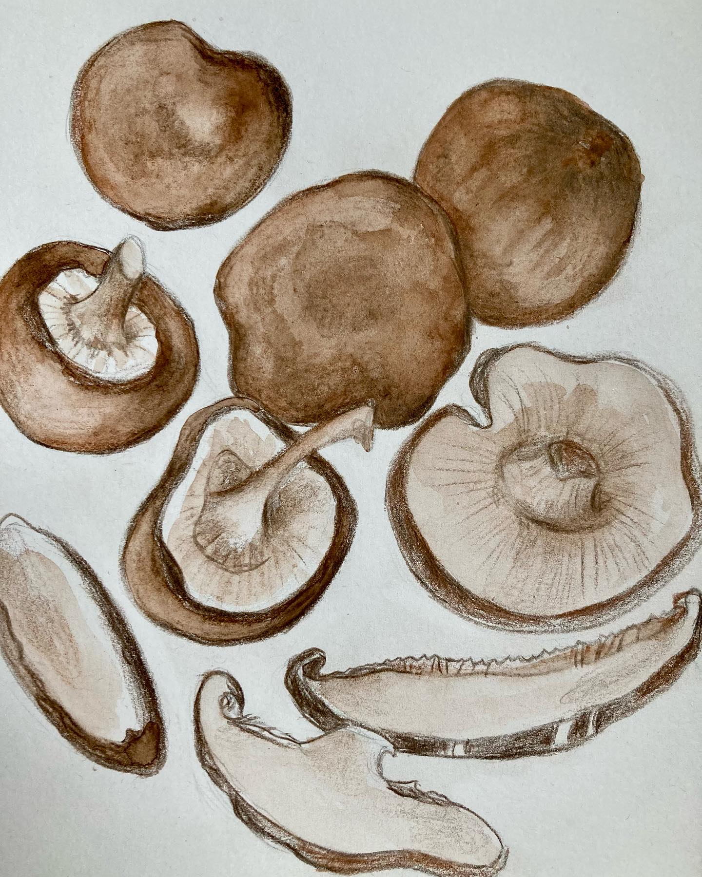 Le champignon parfumé Shiitaké, selon la Diététique Chinoise!
Un dessin perso, ma recette préférée!
Considéré depuis des millénaires par les Chinois et les Japonais comme le champignon de longue vie, le Shiitaké est un des aliments considérés comme ayant le plus de propriétés thérapeutiques. C’est un aliment très tonifiant, recommandé pour renforcer l’immunité.
Le Shiitaké est de nature neutre, de saveur douce, de tropismes Rate/ Estomac. Il renforce la Rate, source de production de l’Energie et du Sang, il est très recommandé pour traiter la fatigue et l’anémie aussi bien par vide de QI que par vide de Sang. Il est aussi recommandé pour son action hypoglycémiante, hypotensive, anti cholestérol, et aussi hepato-protectrice (en prévention des calculs biliaires).
Il est réputé aussi en prévention du cancer.
Très parfumé, une petite quantité peut suffire pour aromatiser un plat et lui donner cette fameuse saveur « Umami ».
Ma recette préférée: Les nouilles Udon crémeuses aux Shiitakés et pâte miso!
Vous retrouverez la recette sur mon blog!
#shiitakes #shiitake #champignons #champignon #champignons🍄 #champignonparfume #superaliment #mushrooms #japanesefood #dietetique #dietetiquechinoise #dietetiquejaponaise #mtc #madreperlamtc