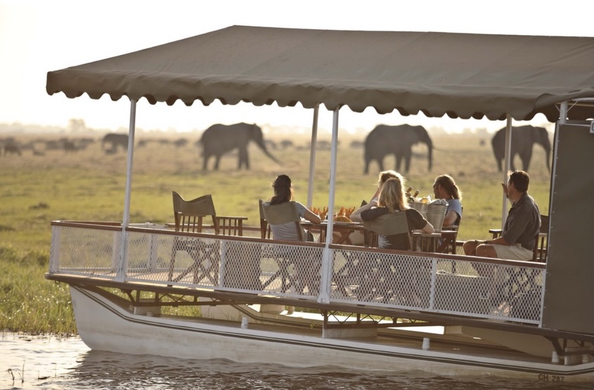 Boat cruises on the mighty Chobe River with the ellies. 🐘🍹🇧🇼
#travel #botswana #animals #choberiver #travelbotswana