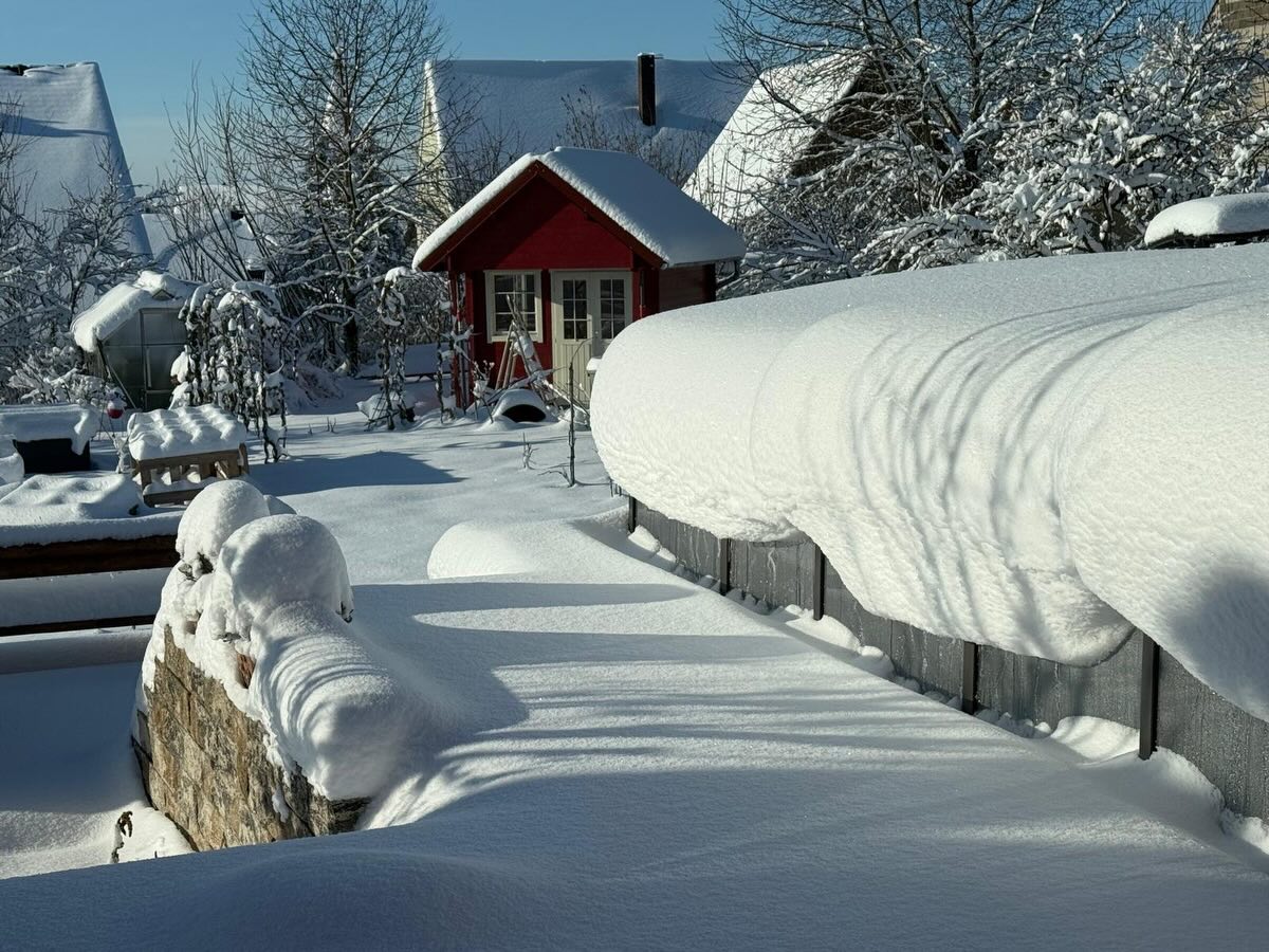 Heute haben wir von unseren Kunden Winterbilder von deren schönen Poolgarten bekommen.
Es wirkt nach dem vielen Schnee ❄️❄️❄️s und der Sonne ☀️☀️☀️ zauberhaft 😍
Im Frühling zeigen wir euch diese komplette Anlage welche wir mit unserem motivierten Team gebaut haben!
Seid gespannt ☀️
#neumarktinderoberpfalz #nürnbergerland #outdoorliving #meinschönergarten #gartenglück