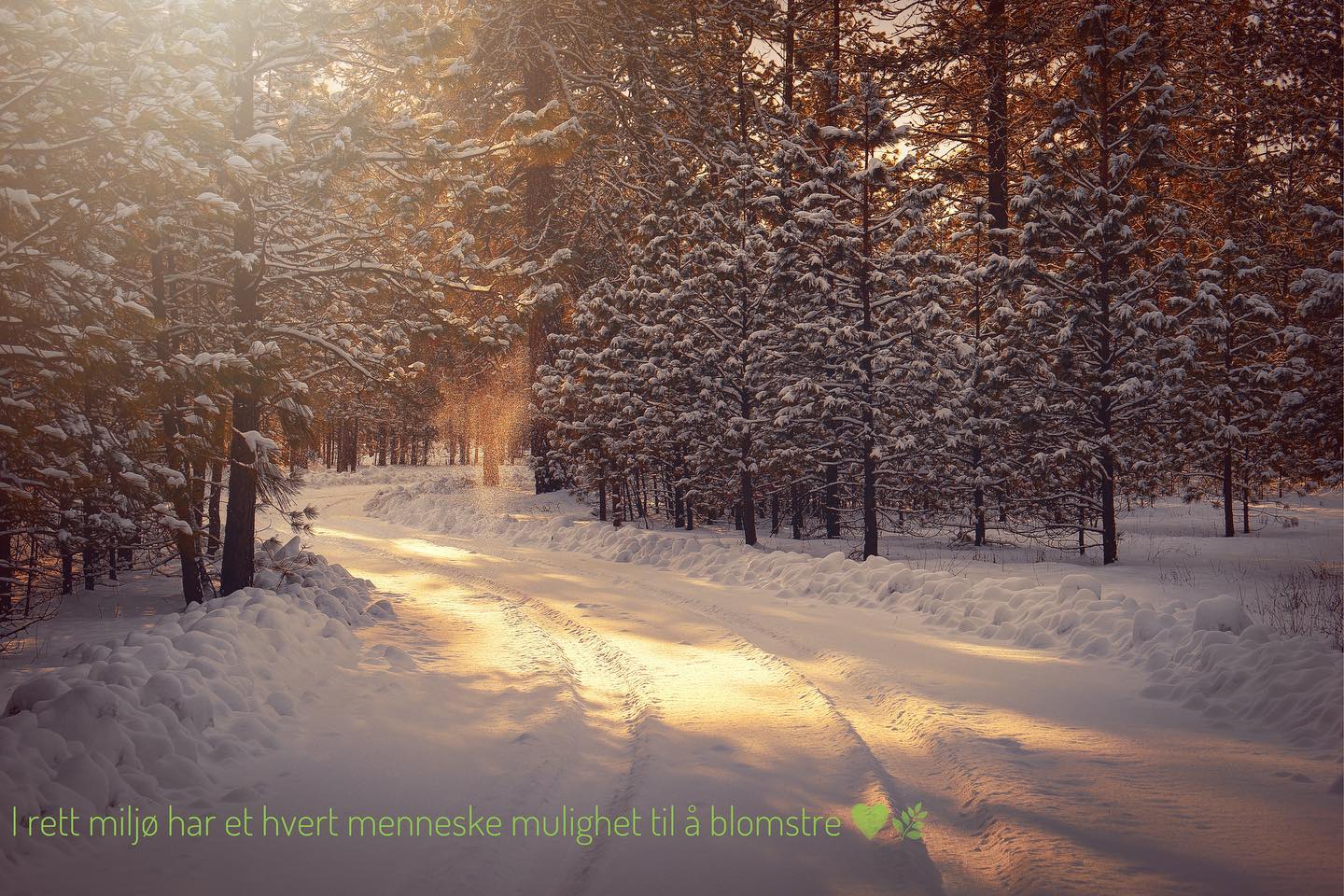 I rett miljø har et hvert menneske mulighet til å blomstre. 💚🌿 | In the right environment, every human being has the opportunity to shine #kjærlighet #familie #målrettetmiljøarbeid #helse #varme #respect #winter #viveo