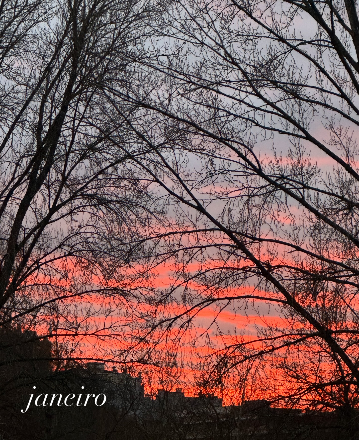 janeiro foi uma surpresa agradável 🤍
começou +/- como acabou e vale a pena por isso, ver este resumo até ao fim! 👉🏼
a intenção deste exercício não é colocar aqui as fotografias profissionais que eu fiz no mês, é precisamente na verdade o oposto. fora da “perfeição” que a minha lente profissional vos vai mostrando, como são os dias e os registos rápidos com o telefone?
e janeiro foi mesmo sem preocupação na perfeição, no slide 2 e 3, ora a gravar apenas o som para mostrar ao pequeno a música que deu na entrada do ano,ora a mandar um beijo para a amiga que não aguentou até tarde.
comecei o ano com glitter, começo sempre. também tenho os meus momentos girly.
e daí para a frente foi uma vida muito saborosa no offline. QB à mesa, entre aniversários dos meus capricornianos, pores do sol e idas ao parque.
janeiro serviu para resumir 2025, agradecer e entender o que não quero levar. e esse exercício, à semelhança deste é muito bom.
deu para nos despedirmos do natal, com o peito igualmente cheio e ainda deu para muito trabalho bom com projetos que admiro muito. foi sobretudo uma surpresa boa por isso.
ahhh a vida não é sempre perfeita, não… mas eu gosto mesmo de romantizar tudo. 🤍
p.s.: a produção de bananas promete este ano!