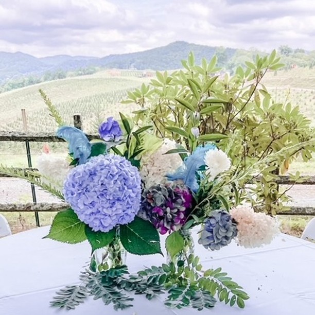 When the backdrop of your wedding is just as pretty as your decor....
#destinationwedding #blueridgemountains #mountainwedding #weddingflowers #outdoorwedding #rusticwedding #summerwedding #northcarolina
#weddingvenue