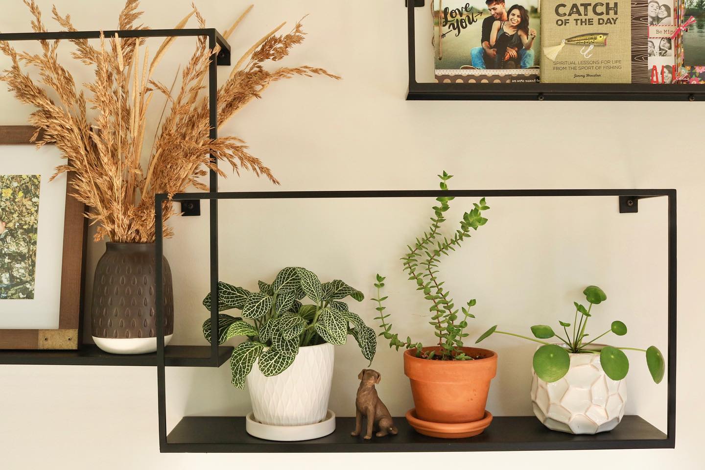 Need some plant suggestions? Read my blog post about why having plants in your home is anything but basic 💁🏻♀️🌿
.
.
.
#jessiesinteriors #interiordesigner #interiorstyling #plantsofinstagram #plantlover #plantlife #shelfstyling #blogpost #interiorblogger #plantblog #interiordesignwebsite #cb2 #cb2shelves #metalshelves #plantsmakepeoplehappy #plantstyling #plantaddict #plantcareiselfcare #shelfie #shelfiedecor #interiorvignette #plantshelfie #interiors4all #homesweethome #homedecor