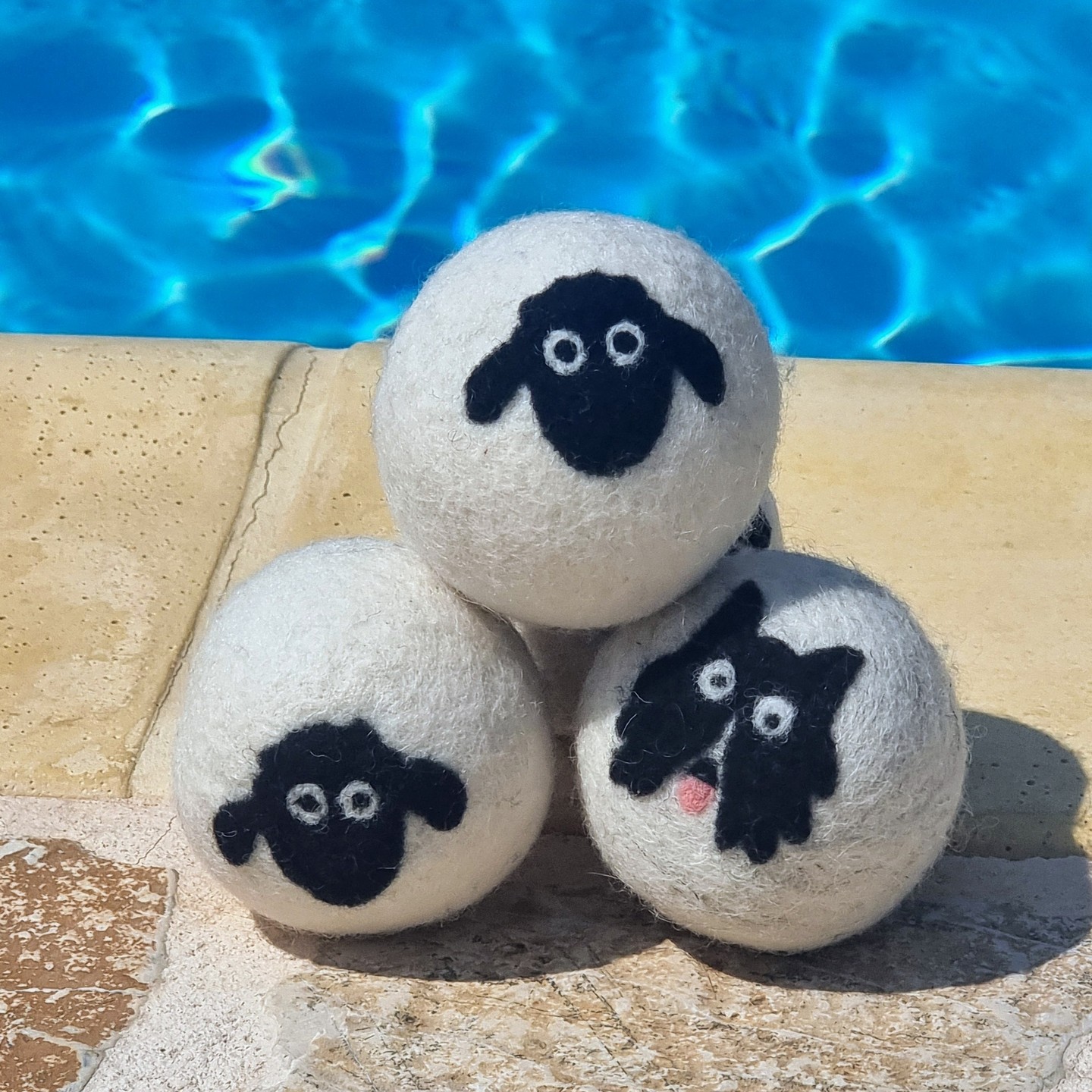 Pool day for the Flock
#Britishwool #Needlefelting #Wetfelting #AmandaPrimrose #SheepWoolDryerBalls #Dartmoor #SustainableLiving #GreekIsland #LaundryDay #Naturalliving #photooftheday #sheep #poolday #ithaca