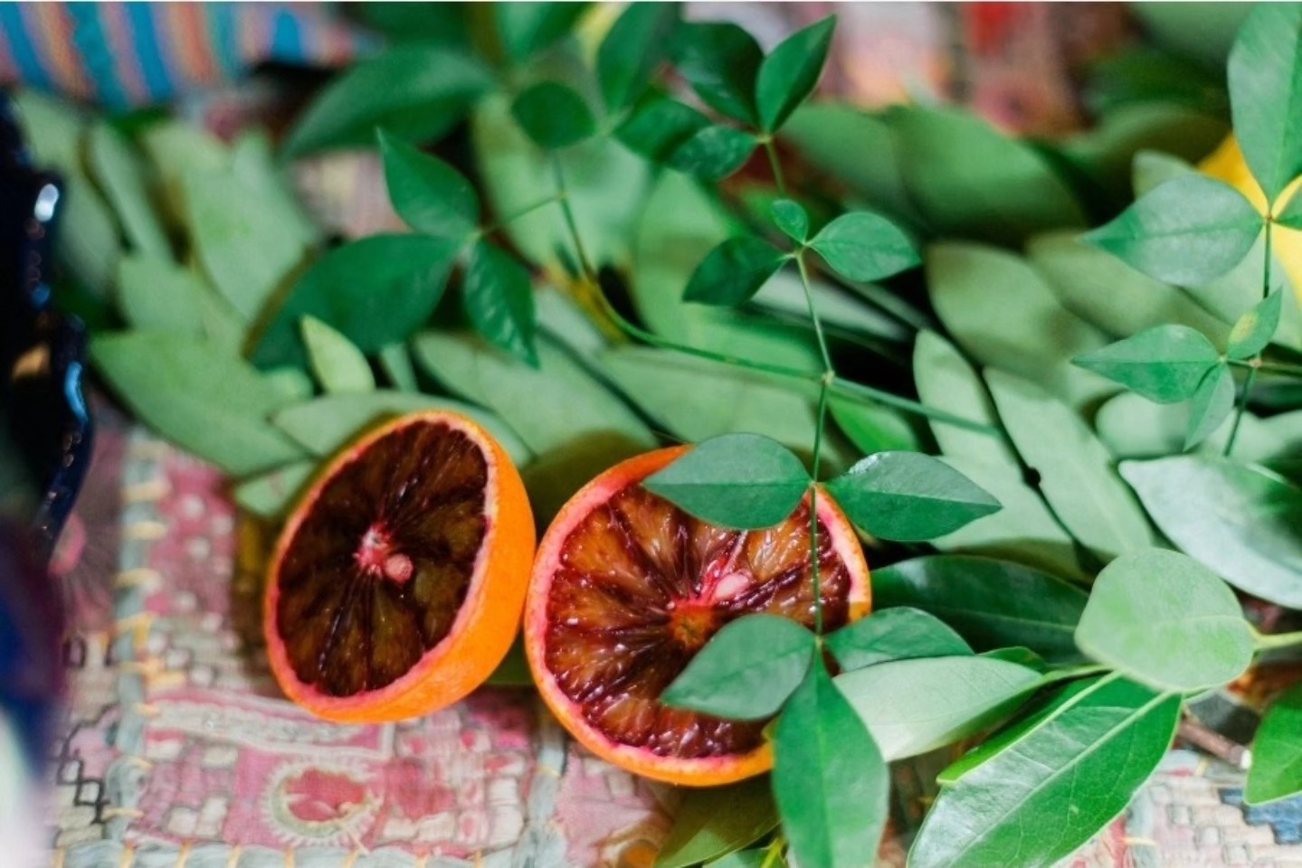 Just like that… summer is almost over ☀️😭 School’s starting soon, and we’re soaking up these last golden days.
It’s been a fun, busy summer!