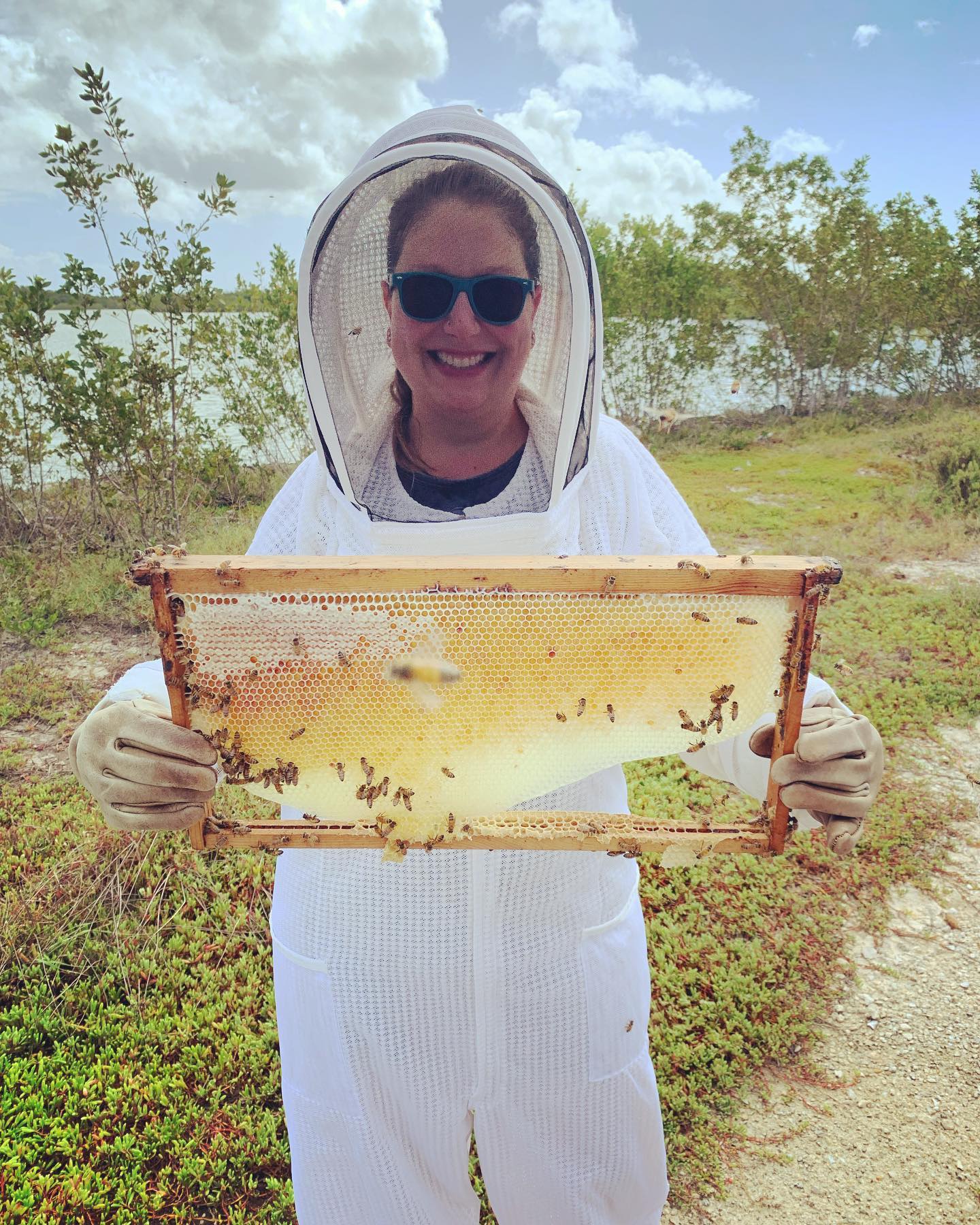 That fresh comb π€© #beetour #honey #beekeeping #beekeeper #honeycomb #bees #nature #outdoors #grandcayman #caymanislands #experience #reaganshoney