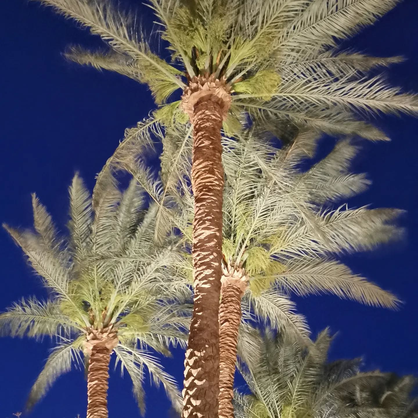 Ägypten - Makadi Bay (April 2022)