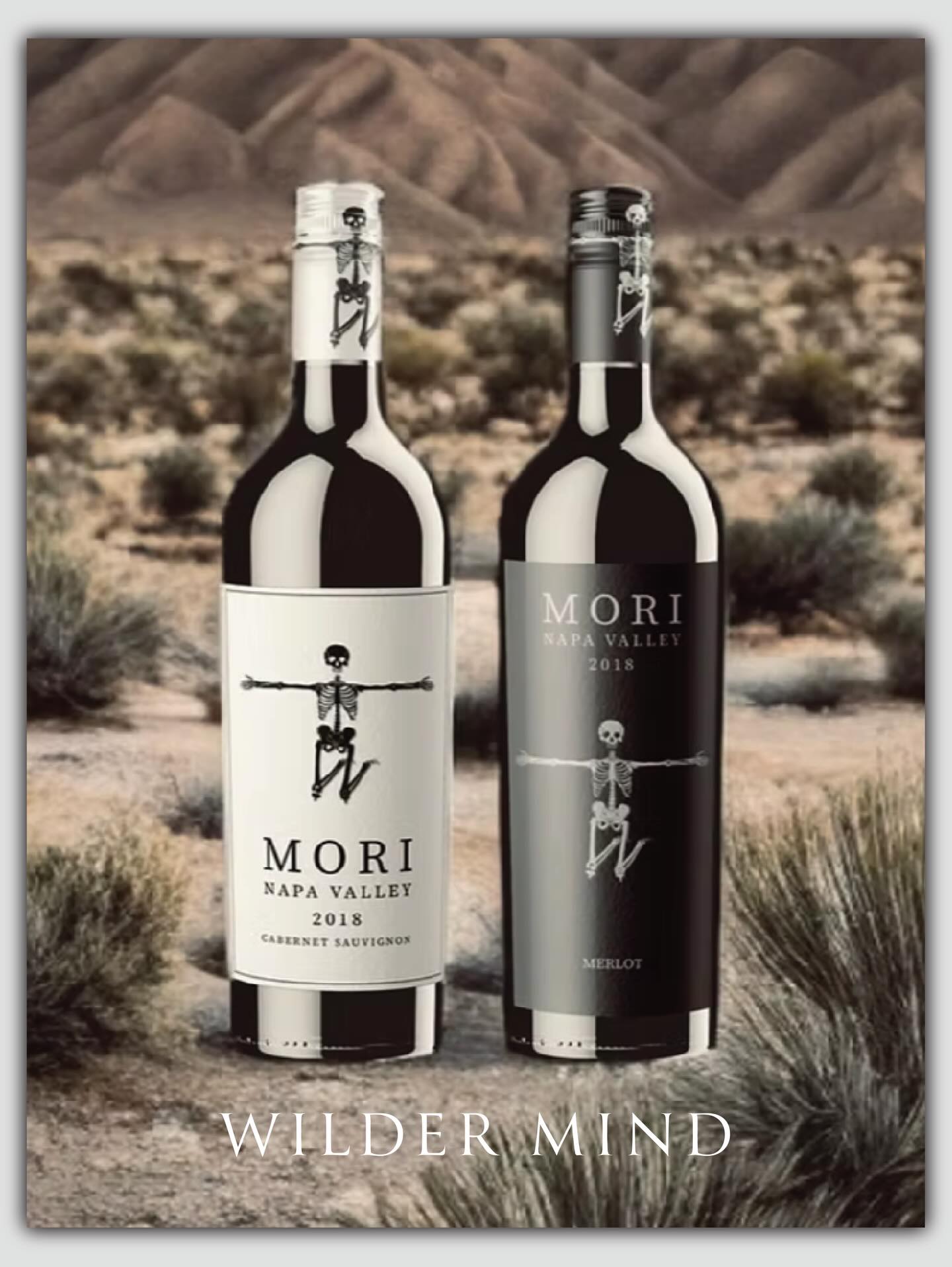 🔥 Wilder Mind — rules are boring.
We craft wine labels, packaging, and marketing that don’t just blend in — they roar. Break the mold, turn heads, and make your brand unforgettable.
Dare to stand out. ⚡
#WilderMind #BrandRebellion #LabelDesign #PackagingDesign #CreativeAnarchy