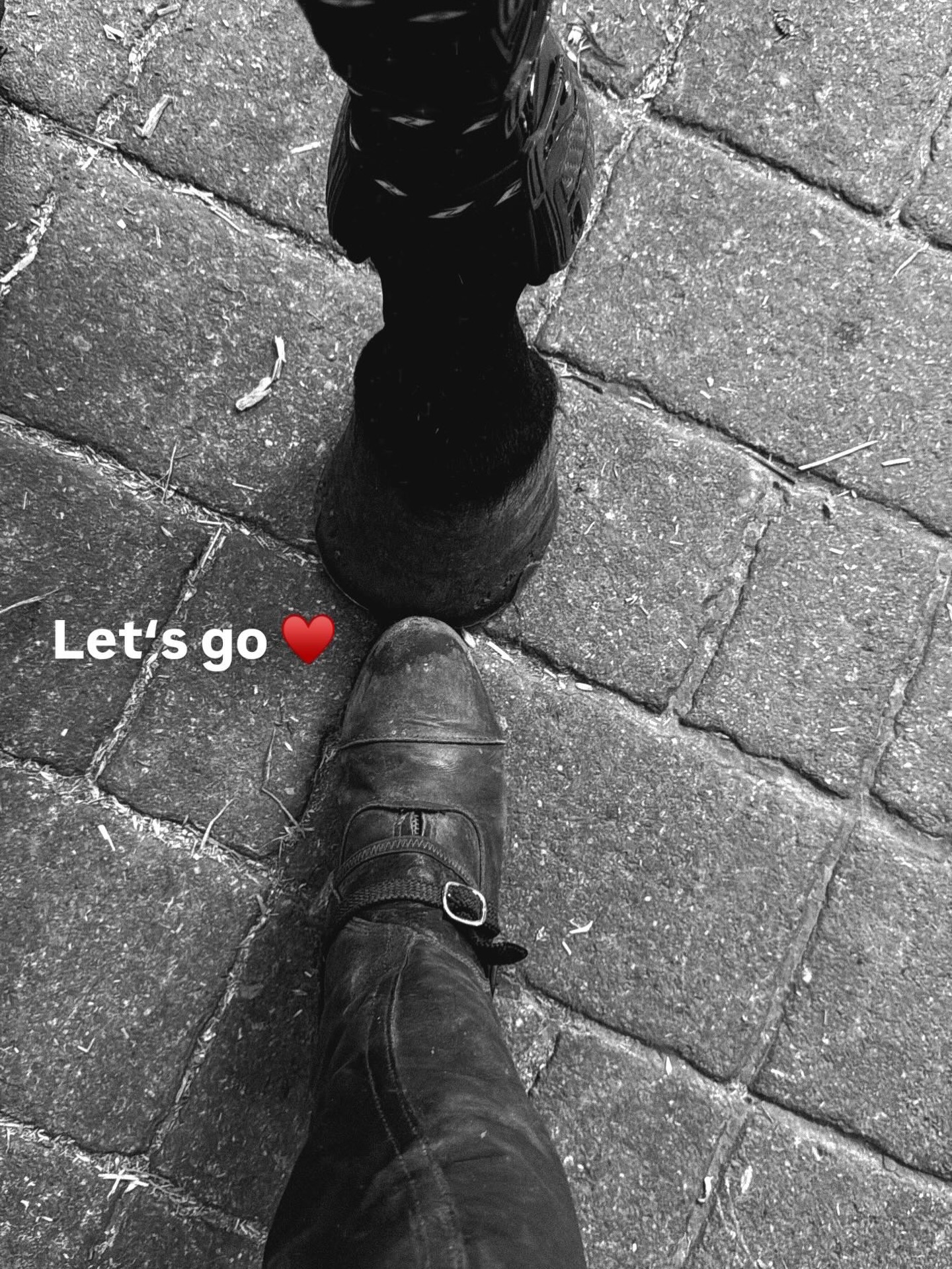 Ich liebe meine Pferde. Zurzeit habe ich kein eigenes, reite aber bei meinen Eltern und meinem Bruder verschiedene Pferde mit.
Heute war so ein Tag. Ich habe zwei Telefongespräche geführt, in denen mir jeweils jemand Fremdes – der weder mein Reiten noch mein Unterrichten oder meine Arbeit kennt – meinte, mich beurteilen zu müssen. Meine Kompetenz und meine Ideen wurden angezweifelt, mein Können bewertet, ich wurde mit anderen verglichen und eher auf ein niedrigeres Level eingeordnet.
Ich versuche, solche Telefonate nicht mehr persönlich zu nehmen. Solche Gespräche gab es schon öfter. Trotzdem bleibt etwas hängen.
Ich bin noch sehr jung, habe bereits viel erreicht und bin darauf sehr stolz. Vor allem habe ich großen Spaß an meinen unterschiedlichen Jobs. Ich bin mit Eltern aufgewachsen, die selbstständig sind, und habe früh gelernt, strukturiert, eigenständig, diszipliniert und selbstbewusst durchs Leben zu gehen. Ich bin verantwortungsbewusst, arbeite gern hart und viel.
Und doch finde ich es immer wieder schade, dass Menschen glauben, mich beurteilen zu müssen, obwohl sie gar nicht wissen, was ich leiste – und welche Hintergründe manche Entscheidungen haben.
An manchen Tagen habe ich meine Pferde einfach am liebsten. Sie beurteilen mich nicht. Sie nehmen mich mit all meinen Stärken und Schwächen – genauso, wie ich bin.
Warum müssen Menschen andere bewerten?
Warum stellen sie sich im Gespräch besser dar, machen ihr Gegenüber klein und zweifeln dessen Kompetenz an?
Warum – und wofür eigentlich?
Was ein Mental Coach dazu sagen würde:
Nicht jede Bewertung ist ein Spiegel deiner Leistung – oft ist sie ein Spiegel der Unsicherheit, der Erwartungen oder der eigenen Maßstäbe des Gegenübers. Du musst nicht jede Meinung annehmen, nur weil sie ausgesprochen wird. Kompetenz zeigt sich nicht darin, sich ständig zu rechtfertigen, sondern darin, bei sich zu bleiben. Du darfst unterscheiden zwischen Feedback, das dich weiterbringt, und Urteilen, die du bewusst liegen lassen kannst. Dein Weg, deine Erfahrungen und deine Haltung sprechen für sich – auch dann, wenn andere sie nicht erkennen. Glaub an dich!
#jarkaluther