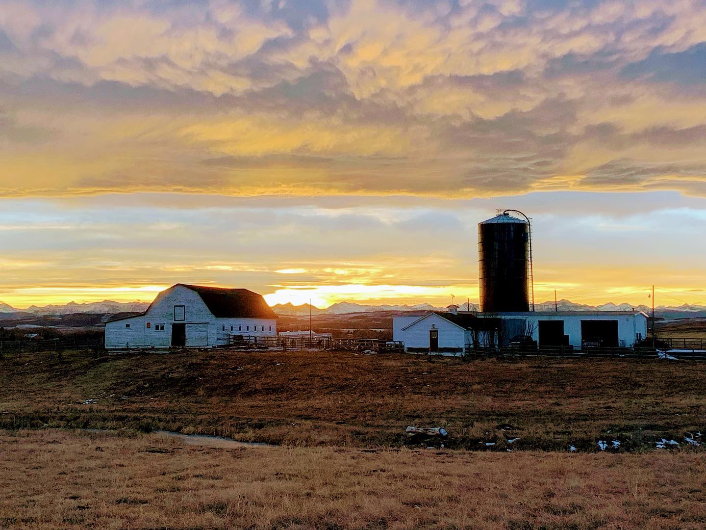 Feeling blessed.
#ourhumblefarm #farmtwo53 #foothillsfarm