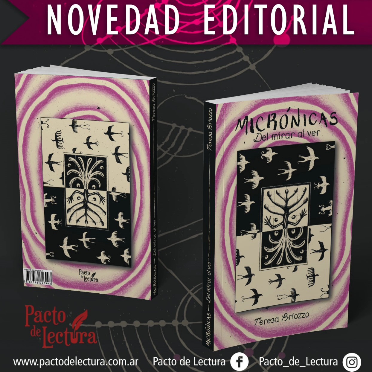 "MICRÓNICAS Del mirar al ver" de Teresa Briozzo✒️