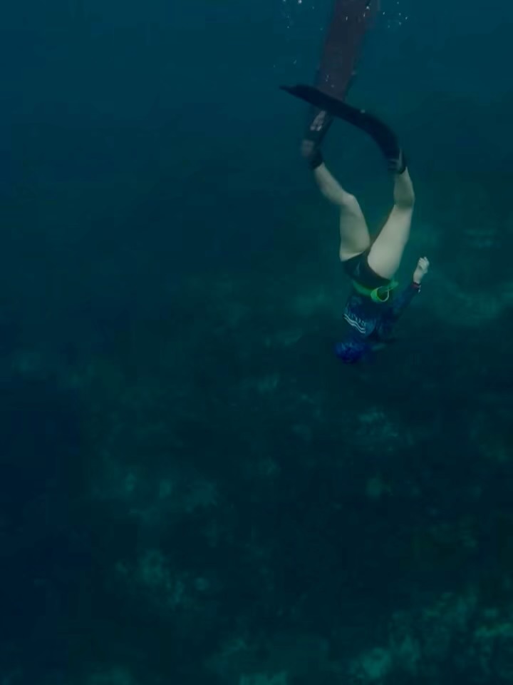 The ability to have adventures is one of my favorite reasons to work on fitness. I want to keep being able to do crazy fun things for a long time more. Thanks to @livefreediving for curating an amazing adventure in Roatan Honduras this January.
#roatànhonduras #freediving #adventure