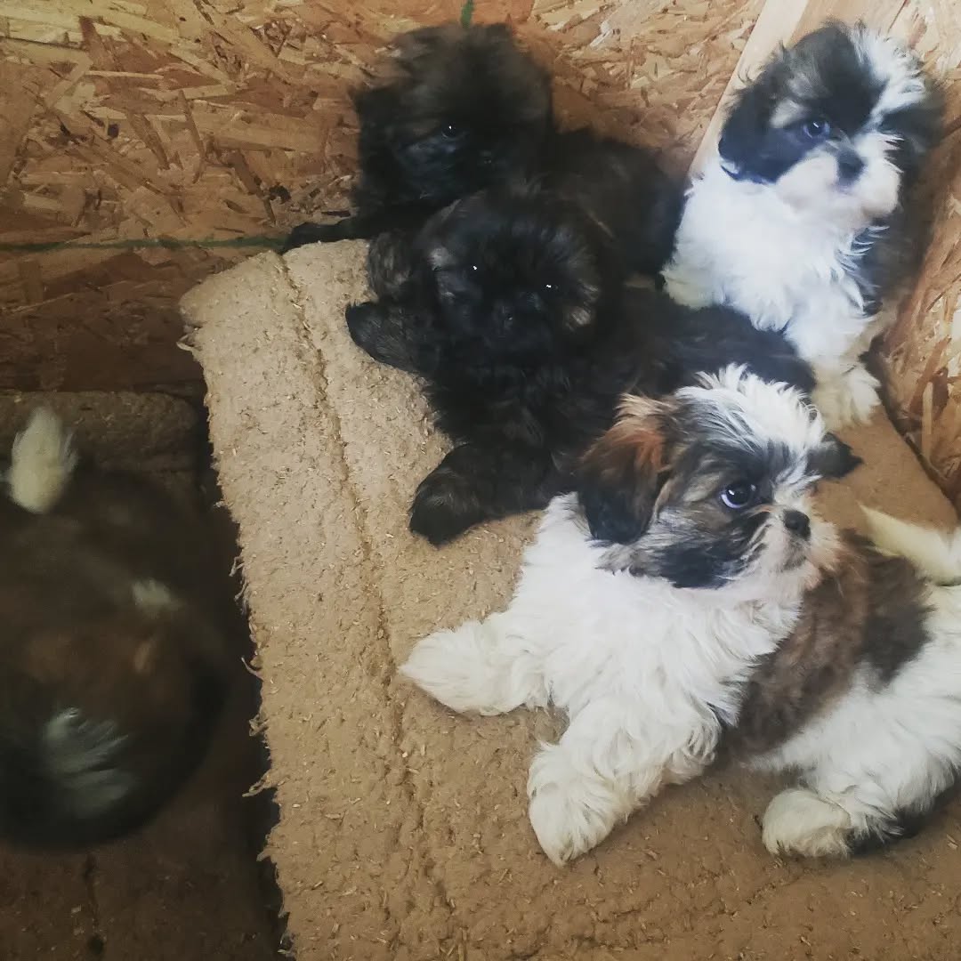There's always one moving...