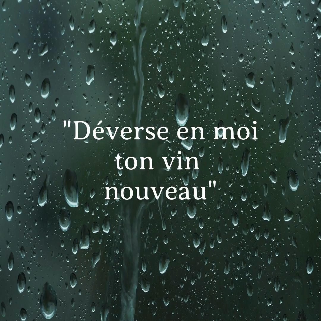 Bonjour !
J'espère que
"Déverse en moi ton vin nouveau" vous accompagnera pour ce mois de Février .
à bientôt!
Julien