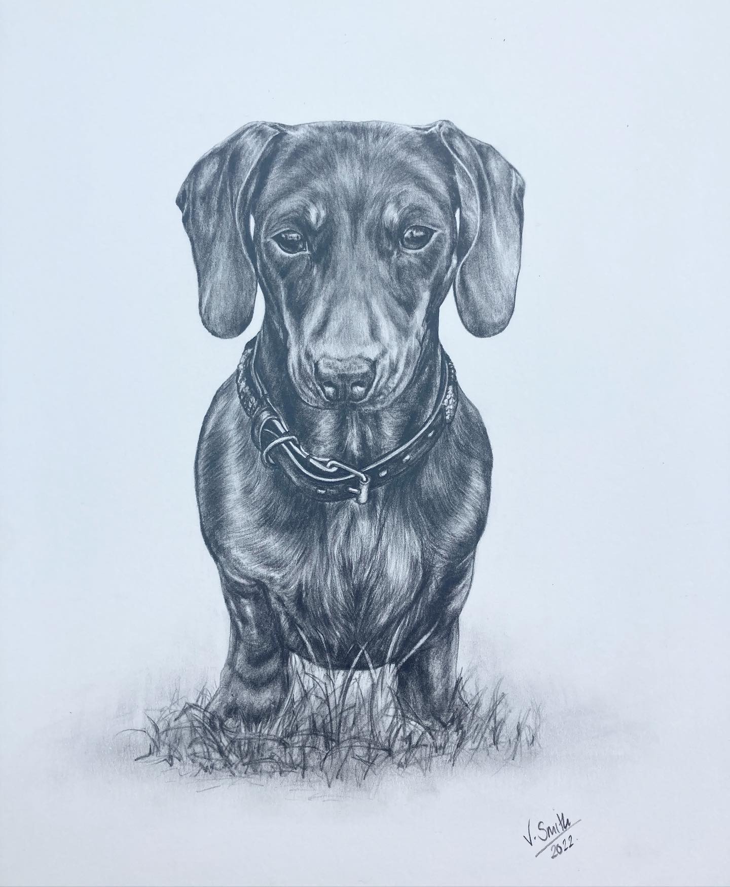 Adore this little sausage dog! Such a pleasure to draw…helps that she is so photogenic 💖
Still taking on a few commissions. Get in touch if you’re interested!
#sausagedog #dachshund #drawing #art #artist #commission