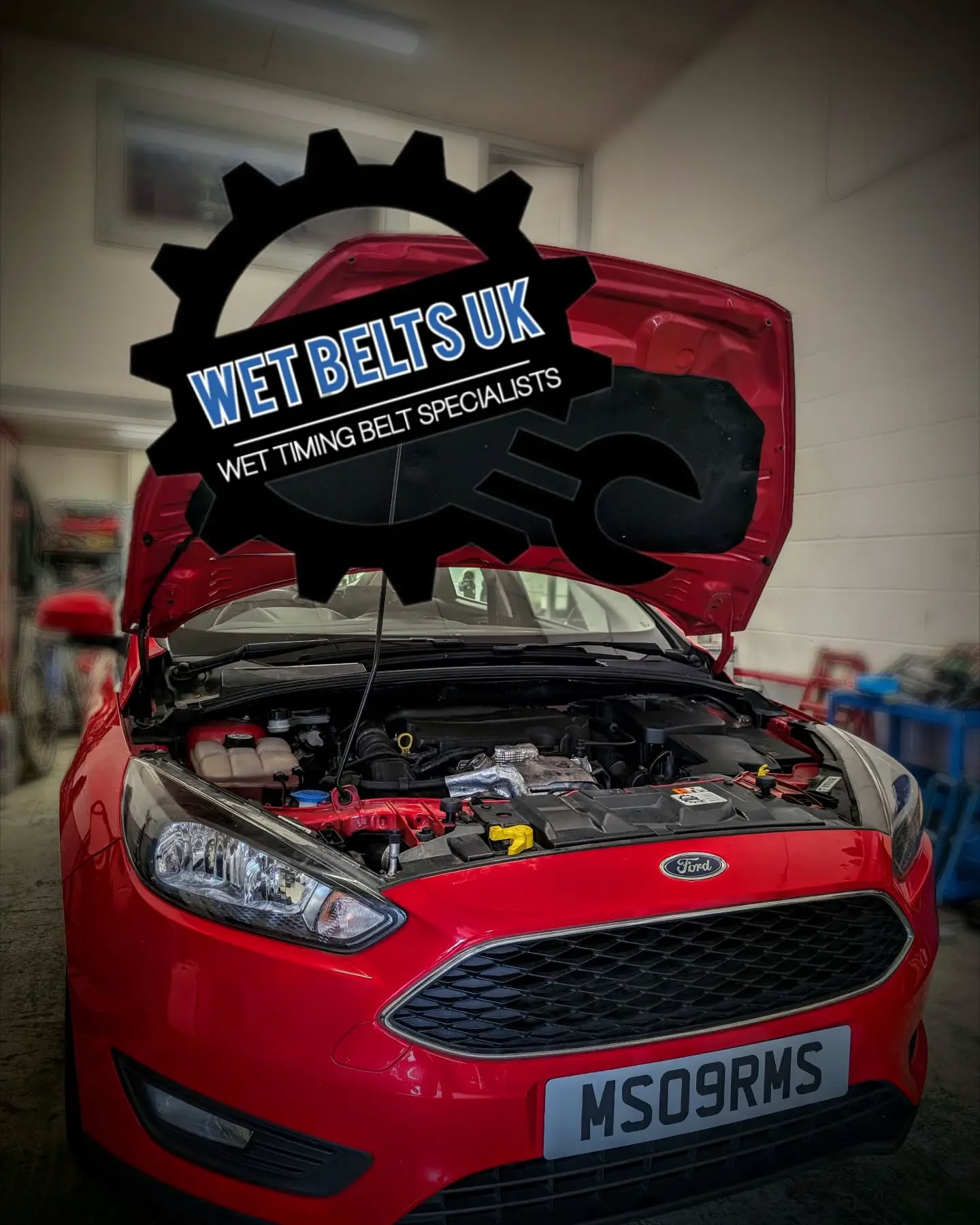 New Wet Belt fitted on customer Michael's Ford Focus. ๐๐