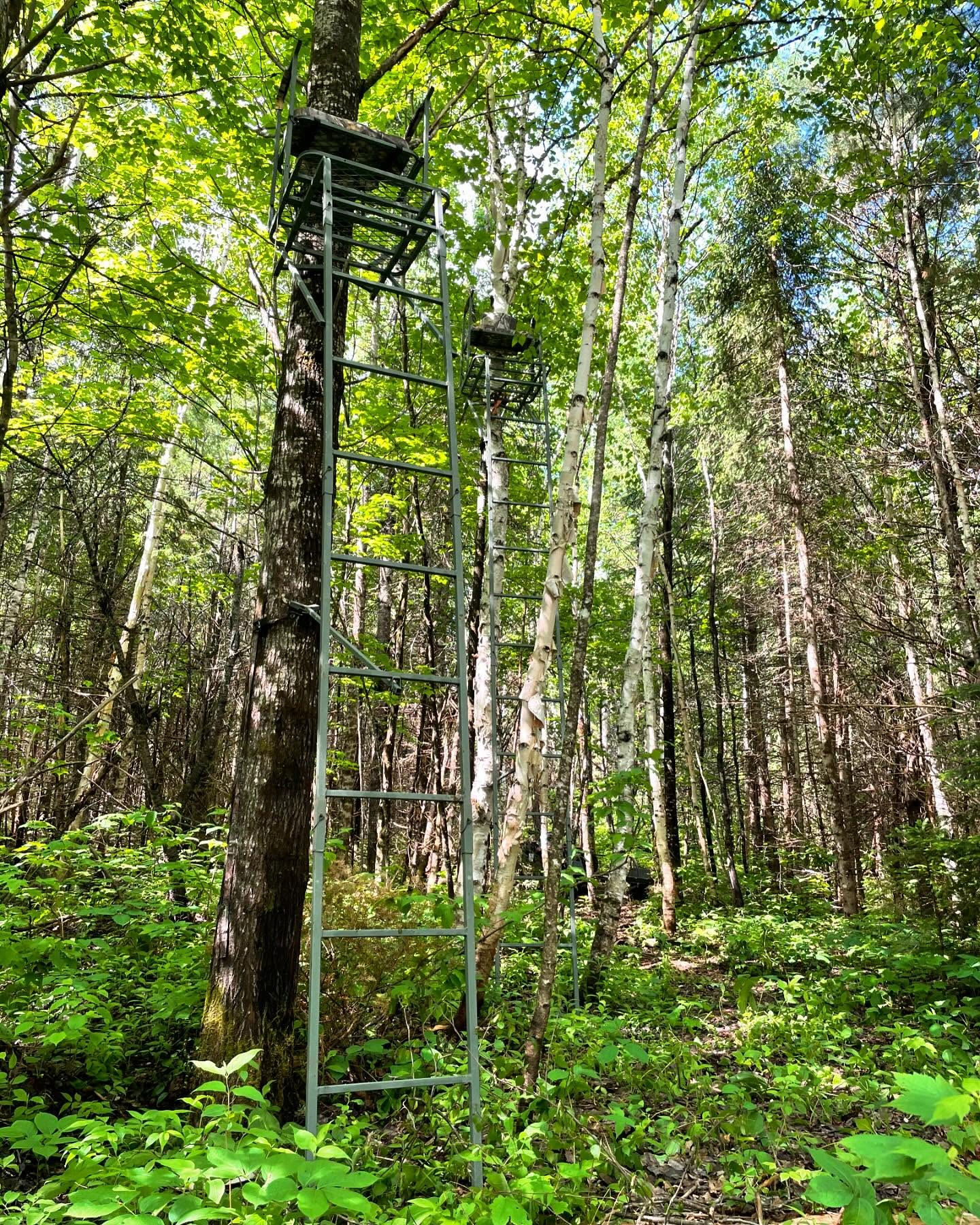 Time to set for Deer!!!
Altan’s Ladder Stands