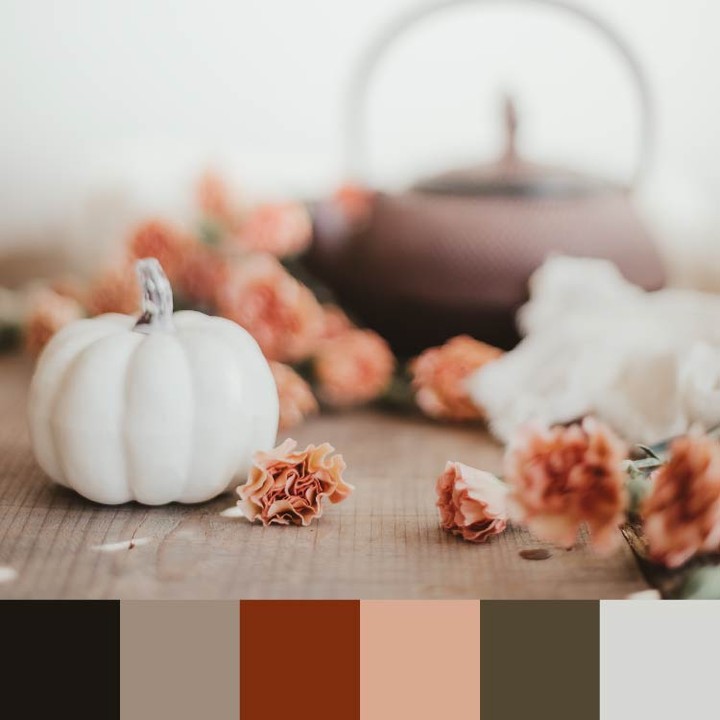 At Davies Designs Studio, we believe that colors are more than just hues on a screen—they're powerful storytellers that evoke emotions and create lasting impressions.
Our "Warm & Grounded" color palette evokes feelings of coziness, stability, and natural elegance while maintaining a strong visual impact.
Learn more about what this color combo can do and the brands that can benefit most from this particular color palette:
https://www.daviesdesigns.net/post/color-palette-warm-grounded
.
.
.
.
#branding #BrandIdentity #brandingtips #branddevelopment #GraphicDesign #graphicdesigner #colorpalette #colorpsychology #designtips #visualidentity #businessbranding #logodesign #logodesigner #color #colortrends #marketing