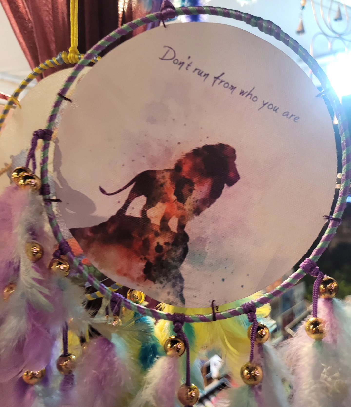 🌈
#queridazindagi