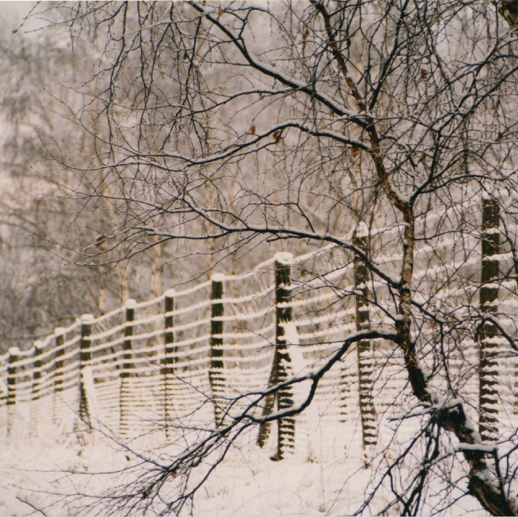 Der Heller 1996, 2/3: Noch lang prägen solche Absperrungen das Bild des Hellers. Sie stammen aus der Zeit, in denen der Heller als unzugänglicher Übungsplatz für das Militär genutzt wurde. Wer genau hinschaut, entdeckt Reste davon noch heute. Freundlicherweise zur Verfügung gestellt und Bildrechte bei: Ulbrich, G..