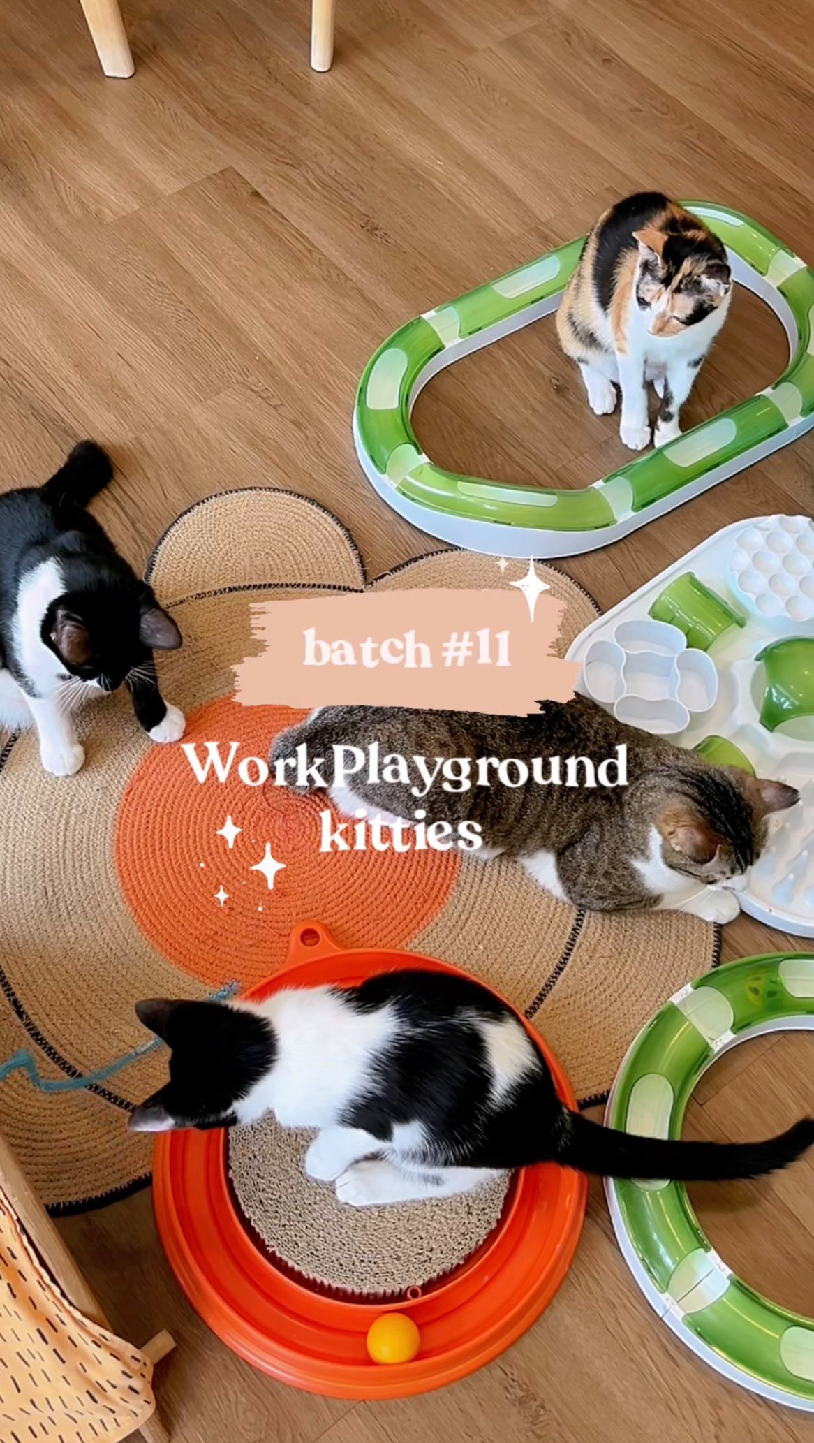 Come have a heart-to-heart talk with our cat therapists from WorkPlayground batch #11 🧡
These cuties will be with us till 9th Feb 2026.
📍WorkPlayground @ Camp Kitty
🕚 Thu - Tue • 11:30am - 6pm
🎟 Admissions from RM15