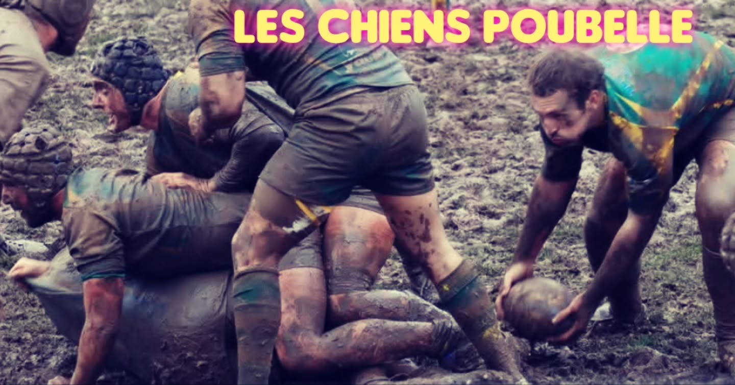 Chiens poubelle #rugby #passion