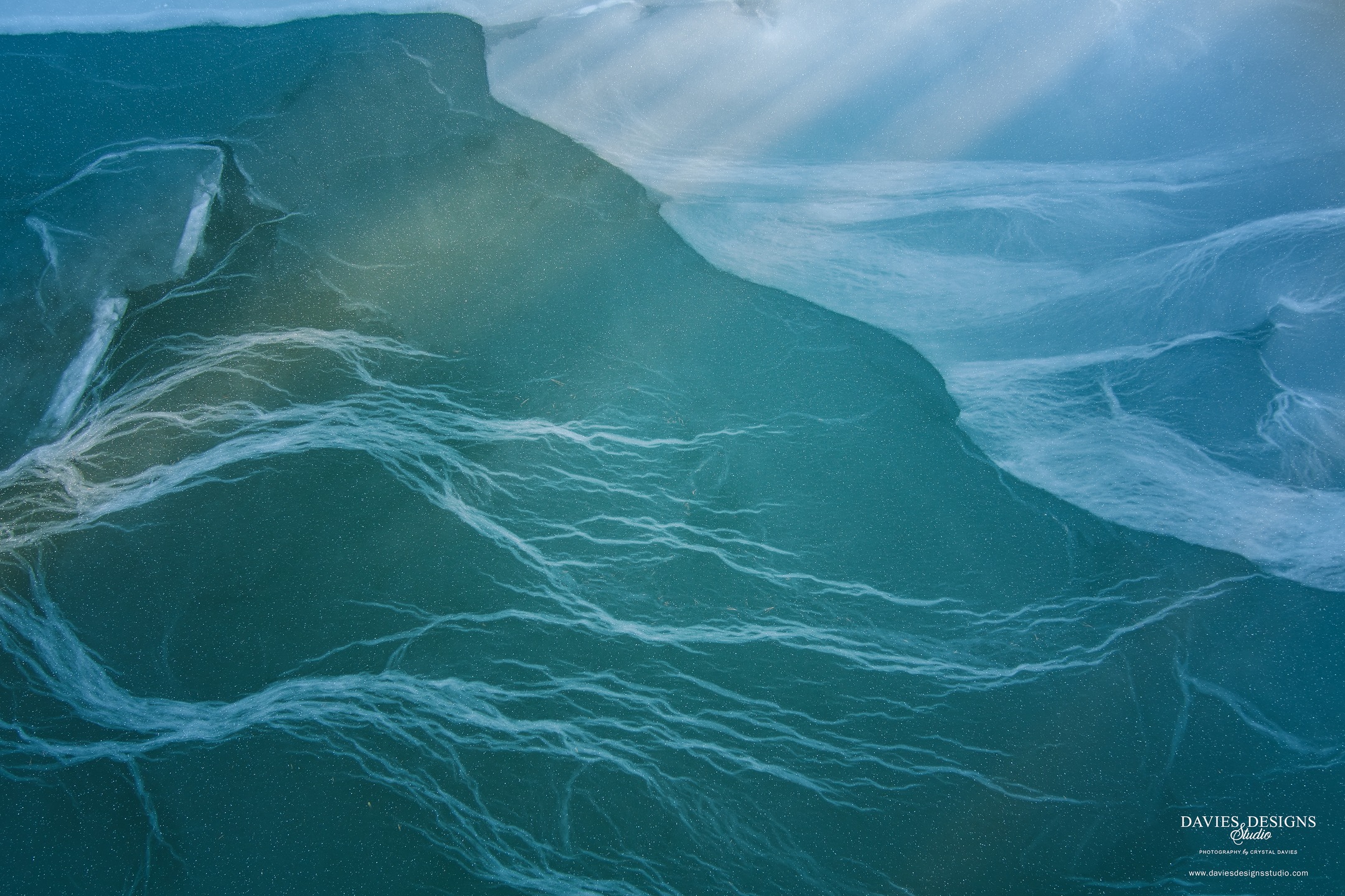 A close-up of the middle spot of our previous pond photo. The way the ice forms is just beautiful!
@wxbrad @wcnctv @wsoctv @wbtv_news
#lakewylie #southcarolinasnow #raresnow #scsnow #winterinthesouth #daviesdesignsstudio #SnowDayMagic #snowmageddon #lakewyliesc #CloverSC #charlottenc #naturephotography #pond #ice #iceformations #winter #winterwonderland