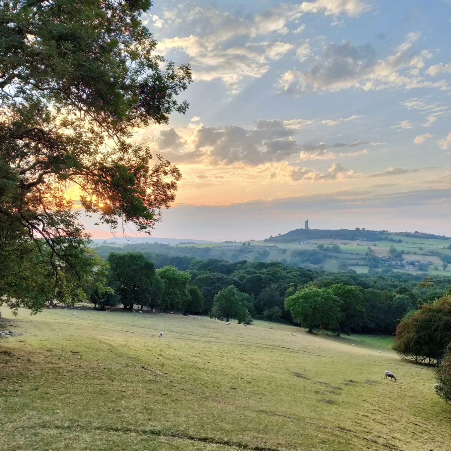 Lovely Summer's Day โ๏ธ