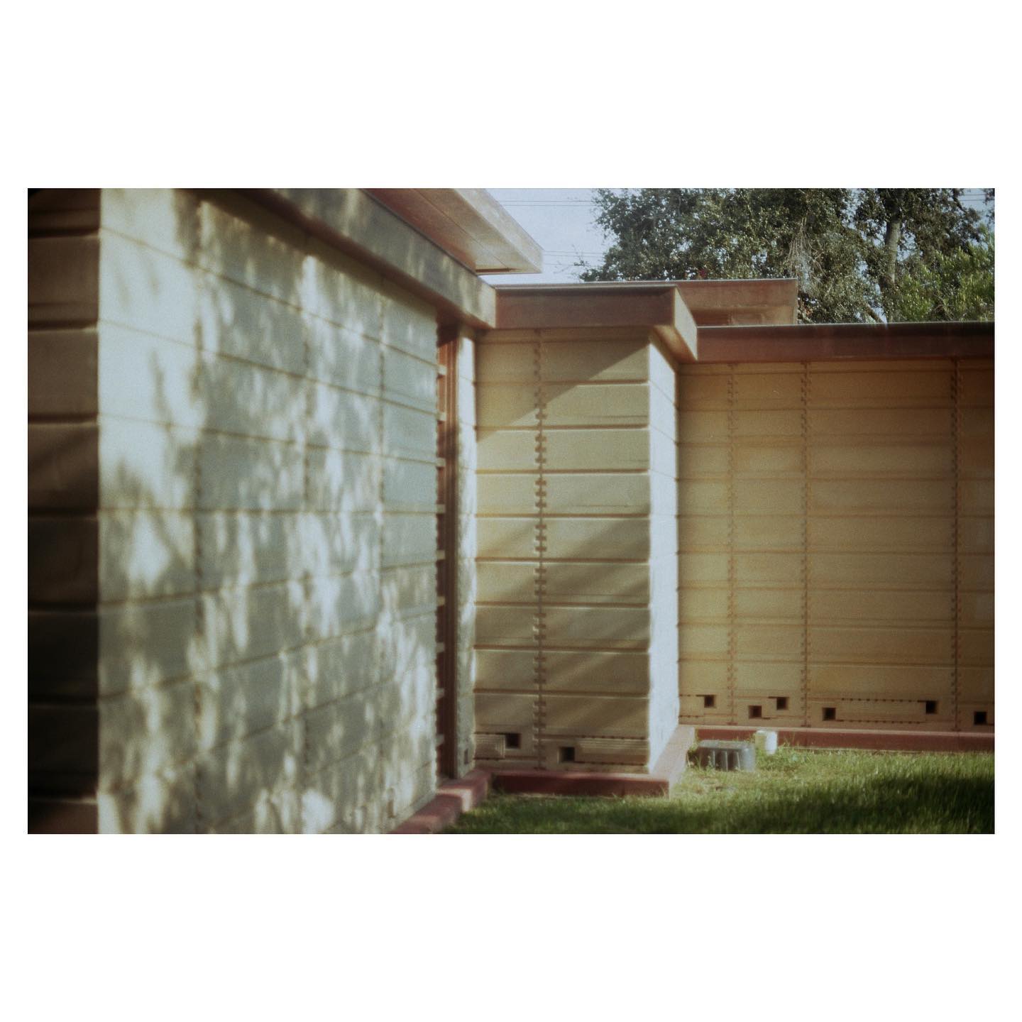 Florida Southern College by Frank Lloyd Wright
📷: canon ae-1 / kodak gold 200
#ae1 #35mm #canon #canonae1 #kodak200 #kodak #kodakgold200