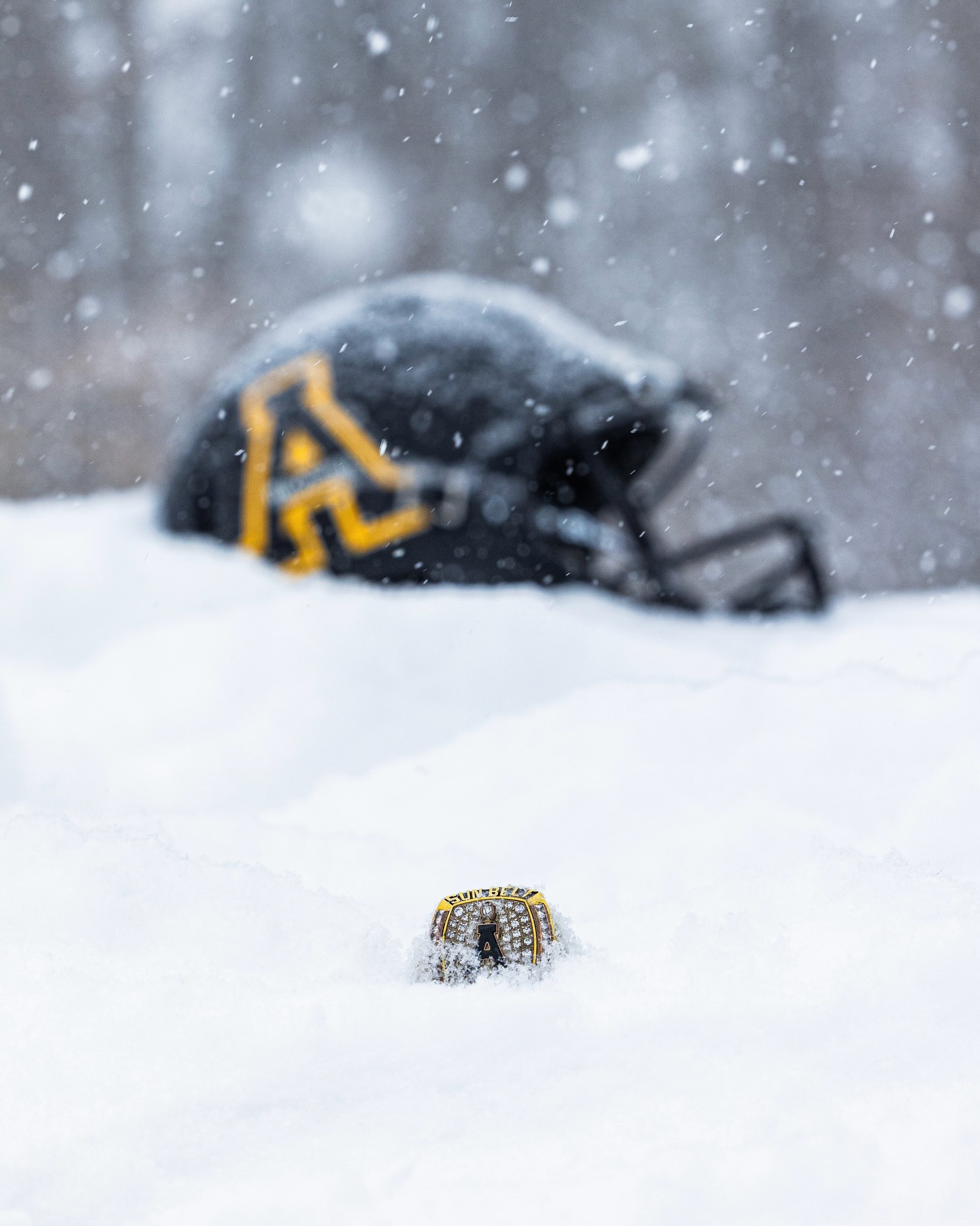 Dropped some ice in the snow ❄️
#RollNeers