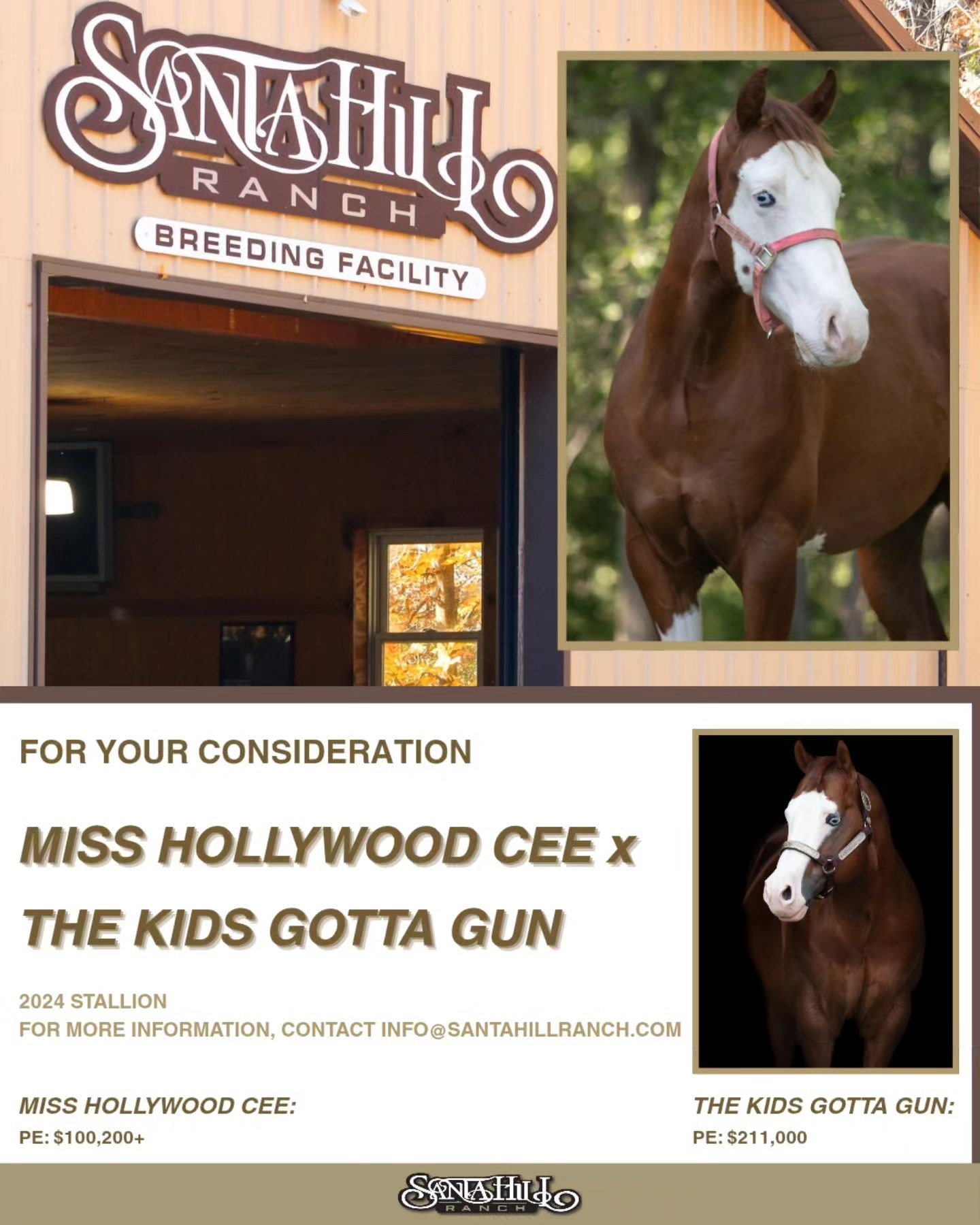 ‼️For your consideration‼️
🌟MISS HOLLYWOOD CEE x THE KIDS GOTTA GUN🌟
2024 Stallion
Contact the @santahillranchbreedingbarn for additional information!
#nrha #NRHAReining #yearling #colt #stallion