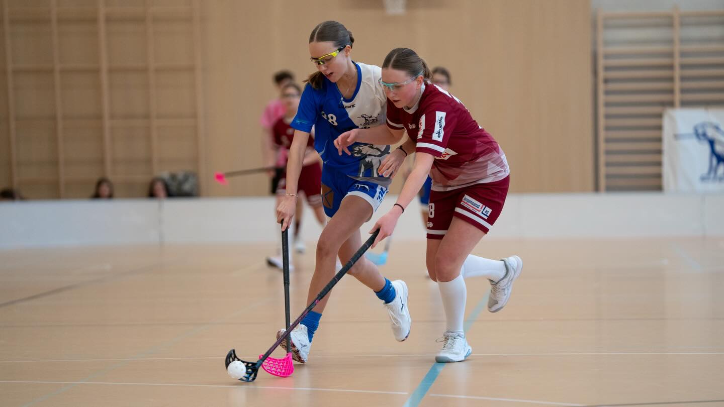Fotorückblick unserer U17🦁
🔵⚪️
Vergangenes Wochenende feierte das Team zwei tolle Heimsiege!🤩
🔵⚪️
📸: @n.rechberger
🔵⚪️
#lioness #swissunihockey #floorball #schweiz #juniorinnen