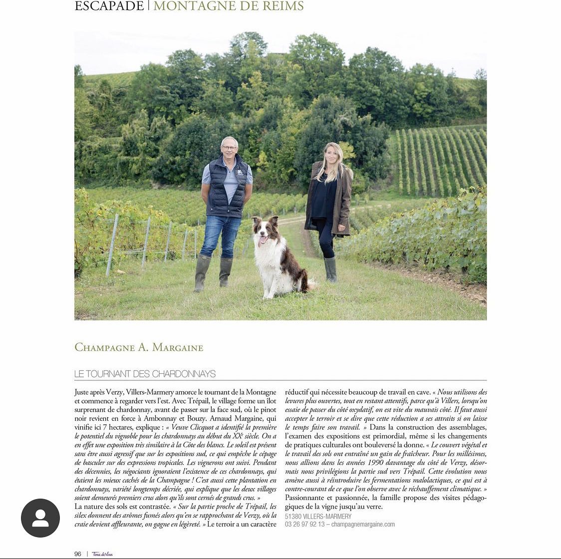 Terre de Vins - Escapade 🍇
@terredevins
#terroir #family #champagne #villersmarmery #buddy #margaine #champagneamargaine #article #terredevins #growers