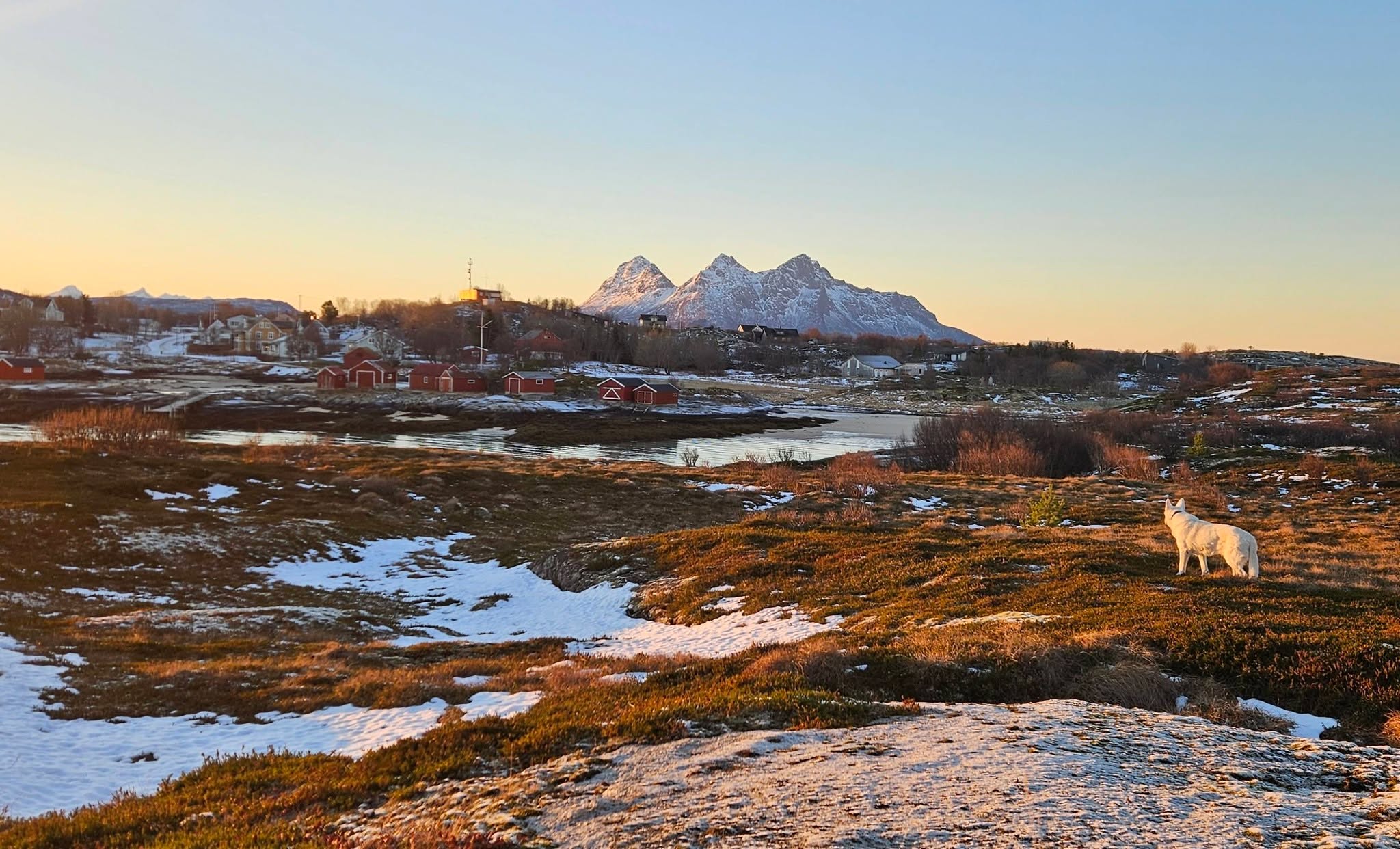 📷 Csilla Bányai @ungarsk_kvinne_i_norge