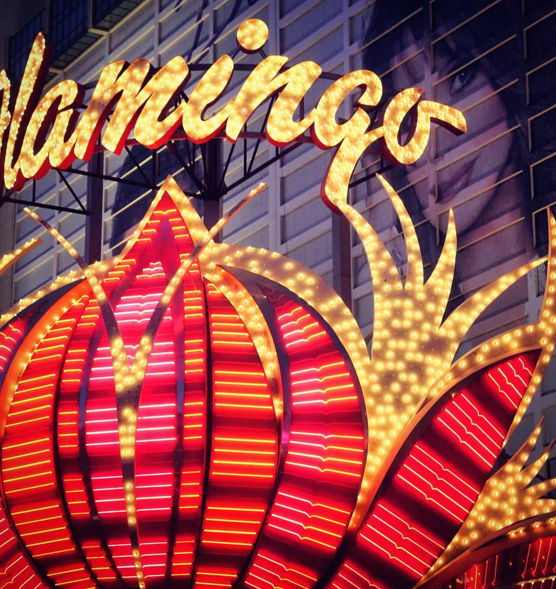 FACT: Hotel was named after a mobster's long legged lady friend @theflamingolasvegas .
.
.
.
.
#vegasbaby #lasvegasblvd #lasvegasstrip #namedafter #neonsign
#photographylife #visualscollective #clickmagazine #shootandshare #photooftheday #bestvacations #ilovetravel #travelgram #instatravel #stayandwander #exploringtheglobe #instapassport #welltravelled #tasteintravel #exploremore #travelon #colourful #colorful #nightlife #nightshots #nightphotography #flamingo #glamerous #neonlights #whathappensinvegas @preview.app