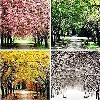 do you have a favorite?