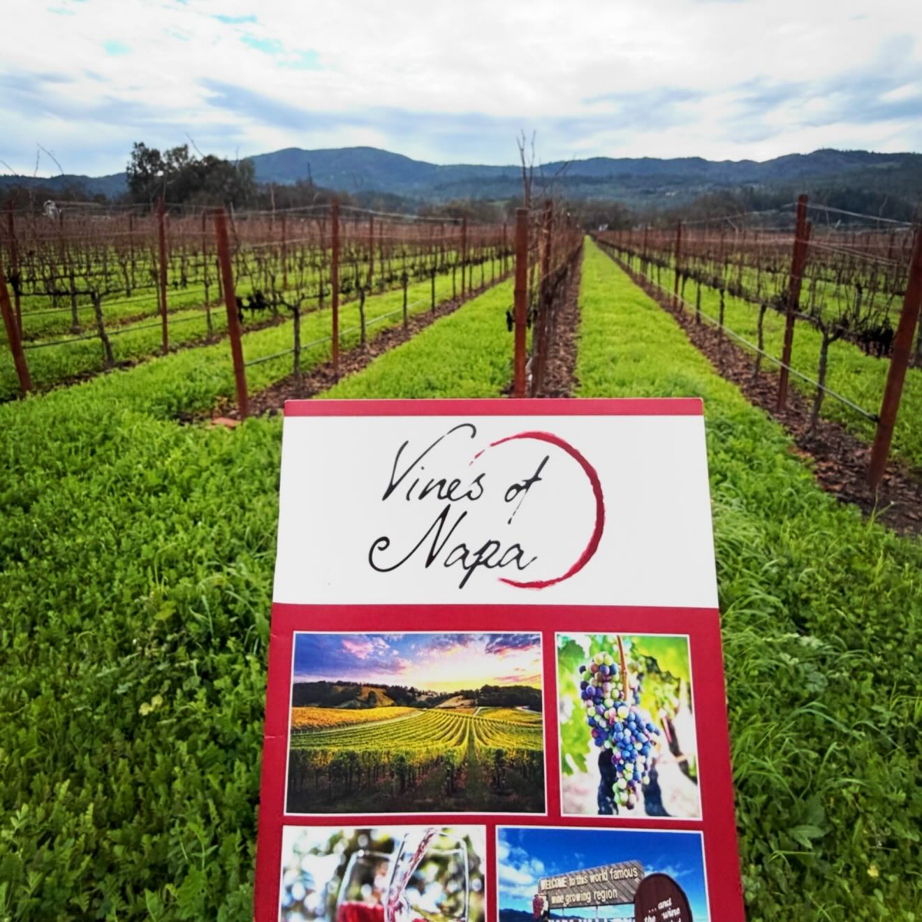 For just $59.95 passport holders receive VIP discounts, saving over $800! This Winter sip your way through the Valley with the Napa Vine Pass. 🛂 Your all-access key to iconic wineries, exclusive savings, and unforgettable tastings so you can experience the heart of wine country without the stress of planning. 🍷❄️
📣 Learn more at www.vinesofnapa.com or link in bio ⬆️
✨23 Wineries. One Pass. Endless Memories…
AXR Napa Valley, Ballentine Vineyards, Bell Wine Cellars, Blackbird Vineyards, Bravante Vineyards, Chase Cellars, Eleven Eleven Winery, Failla Wines, Fontanella Family Winery, Gandona Winery, Ghost Block Estate Wines, Groth Vineyards & Winery, Hunnicutt Wines, Hyde Vineyards & Winery, Keenan Winery, Ladera Vineyards, Monticello Napa Valley, Robert Biale Vineyards, Saintsbury Winery, Schweiger Vineyards, Sherwin Family Vineyards, Trefethen Family Vineyards & Whitehall Lane Winery
#vinesofnapa #winecountry #visitnapavalley #winetasting #napavinepass
