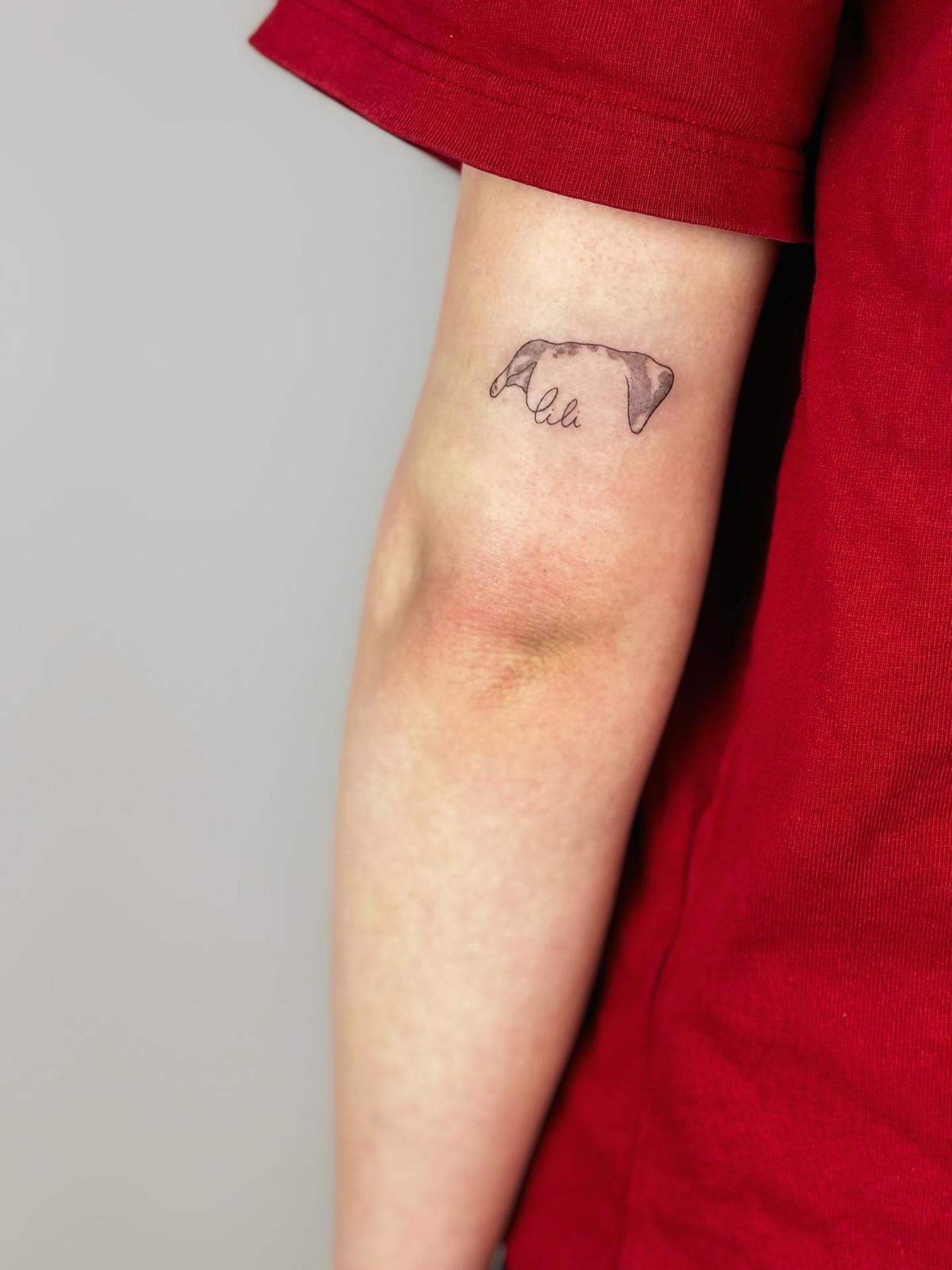 Eine leise Erinnerung, für immer getragen.
Nach Vorlage eines Fotos – persönlich, fein und voller Bedeutung. 🐾🤍
Gestochen von @leonie_tatts
#TattooGardenAarau #FinelineTattoo #DogMemorialTattoo #PetTattoo #MinimalTattoo LeonieTatts