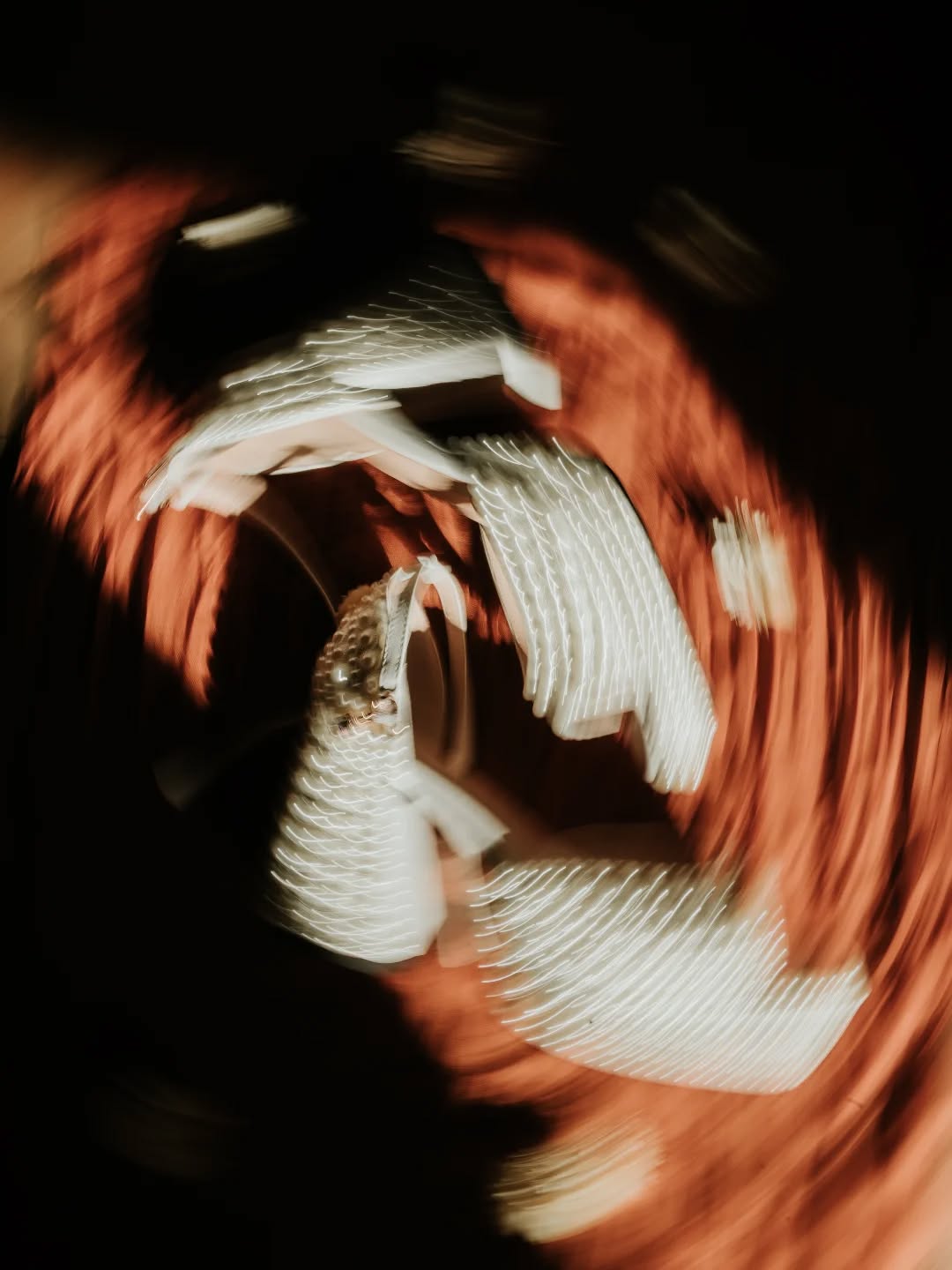 🧡
📸 @laurenmarchantphotography
💒 @thecanaryshed
