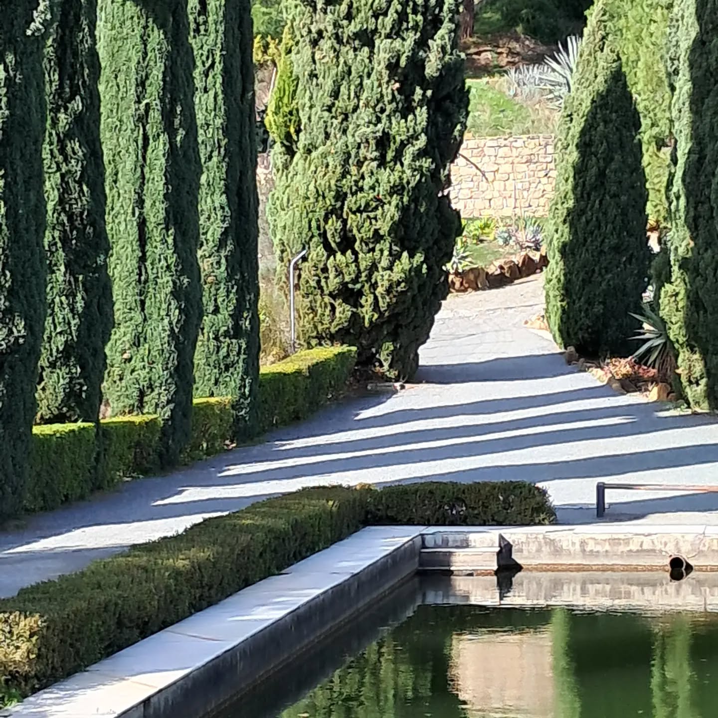 Artist on holiday...Jardin Botanico in Malaga..stark diagonal shadows at the Mirador (viewpoint on hilltop) with gazebo and ornamental pond. #artistonholiday #Spain #malaga #whatdoartistsdoallday #ornamentalgarden