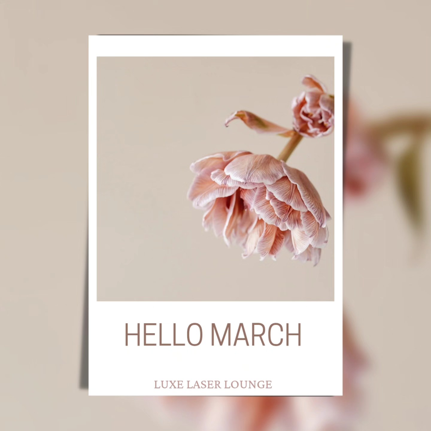 New month, fresh opportunities! 🚀 March is here, and it’s time to set bold goals, embrace challenges, and make things happen. Let’s grow, innovate, and elevate this month! 💼✨
.
.
.
.
.
#NewMonthNewGoals #BusinessMindset #OpportunitiesAhead