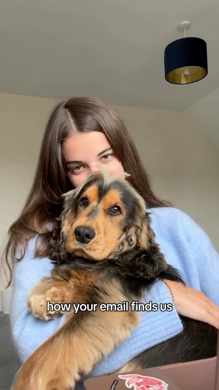 For anyone wondering what writing a book looks like when you own a cocker spaniel 😌 #authorlife #dogmum