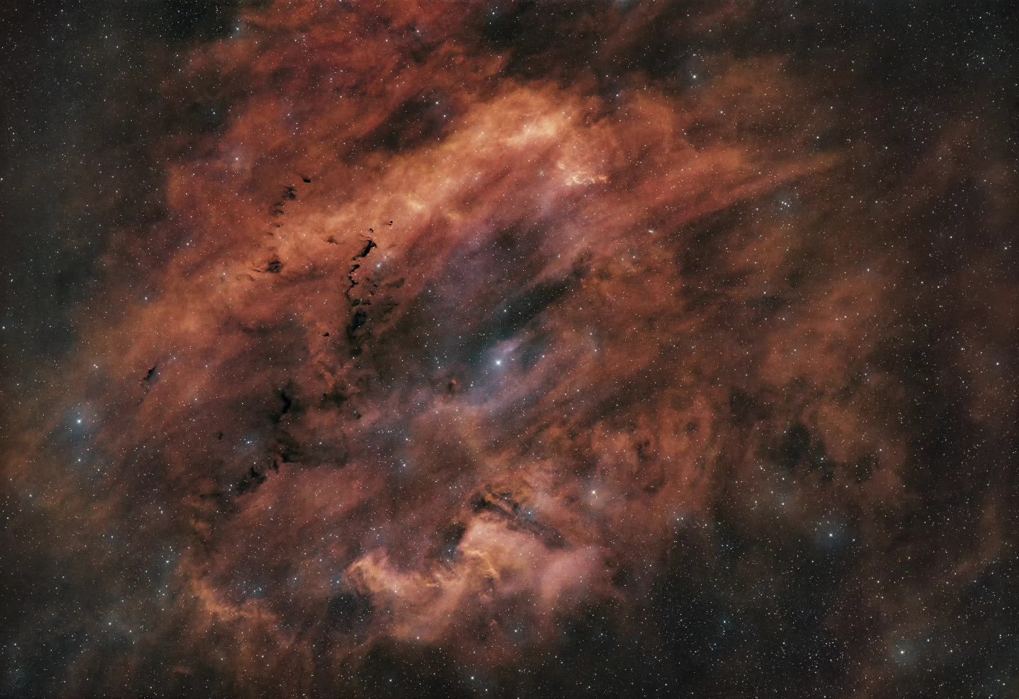 Muschelnebel (SH2-119)
Der Muschelnebel (SH2-119) ist ein typischer Emissionsnebel, der in der Nähe des bekannteren Nordamerikanebels (NGC7000) liegt. Obwohl er selbst eine interessante und komplexe Struktur mit Filamenten und Dunkelnebeln aufweist, wird er manchmal zugunsten seines berühmteren Nachbarn übersehen. Auch diese Region besteht aus ionisiertem Wasserstoffgas, das durch nahegelegene heiße, junge Sterne angeregt wird. Es sendet Licht aus, das mit dem H-alpha Filter wunderbar eingefangen werden kann.
Die Originalaufnahme habe ich mit Aufnahmen aus mehr als 7,5 Stunden Aufnahmezeit in meiner Gartensternwarte mit einem Hyperstar 6", f/2.8, QHY268M und 3 Filtern erstellt. Es wurde mit Astro Pixel Prozessor, Pixinsight, Adobe PhotoShop verarbeitet.
Bitte sehr gerne meine Post weiterleiten ! Jedwede andere Art von Kopien oder Nutzung ist nur mit ausdrücklicher Erlaubnis des Copyright Inhabers erlaubt. Bestellung von Kopien und Bildern gerne unter https://photo-portal.shop/profiles/fascinationcosmos.com/#/ oder einfach per Nachricht an mich.
#fascinationsomos #fascination #cosmos #faszinationkosmos #kosmos #franzrettenbacher #astrophotography #astrofotografie #astrophoto #astrofoto #deepsky #astronomie #astronomy #astro #teleskop #amateurastrophotography #qhy268 #HEM27EC #iOptron #deepspace #SH2-119 #Muschelnebel