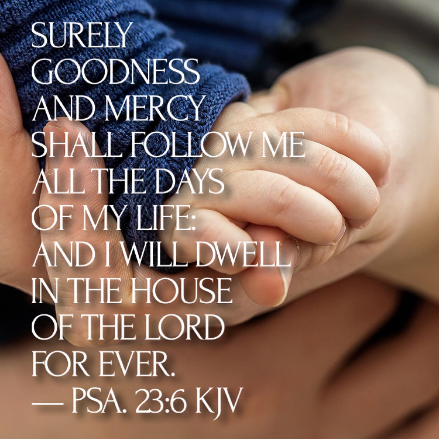 🙏 Wishing you all a peace-governed weekend. 🙏