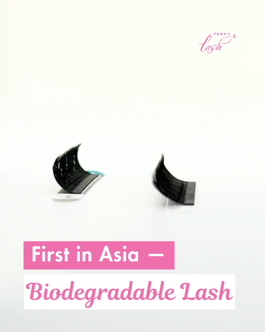 Yes, you’ve probably heard about Bio Lash… but did you know?
Perky Lash is the first in Asia to innovate and produce biodegradable lash extensions!! 😍
Created to be lighter, fluffier, and more comfortable, Bio Lash isn’t just about beauty, it’s about moving the lash industry towards a more sustainable future. From idea, to testing, to production, this innovation was built with heart, science, and responsibility.
Thank you for supporting a local brand that dares to innovate ♻️
The future of lashes is here — and it’s green.
#perkylash #biodegradablelash #biolash #sglashes #sglashextensions