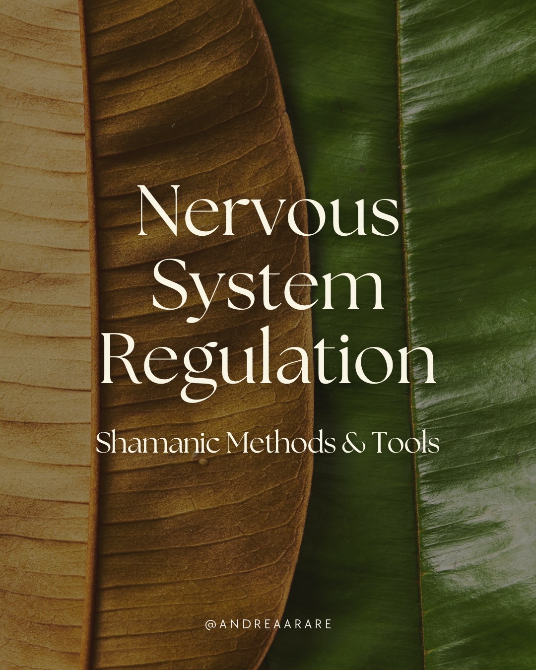 Our nervous system is always listening.
It responds to threat, overwhelm, and stress,
often before the mind even notices.
When it’s dysregulated, we feel anxious, shut down, or restless.
Shamanic practices offer tools to support nervous system regulation, helping us return to a sense of safety, presence, and balance.
Swipe ➡️ to learn more about shamanic methods and tools. 🍃
#cyclicalliving #earthwisdom #shamanism #nervoussystemregulation